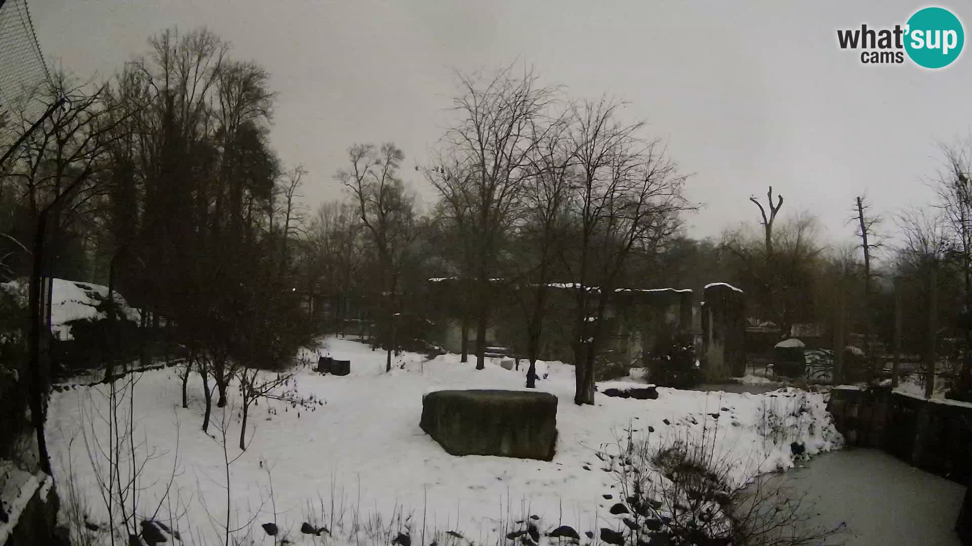 Zoo Zagreb – Leones