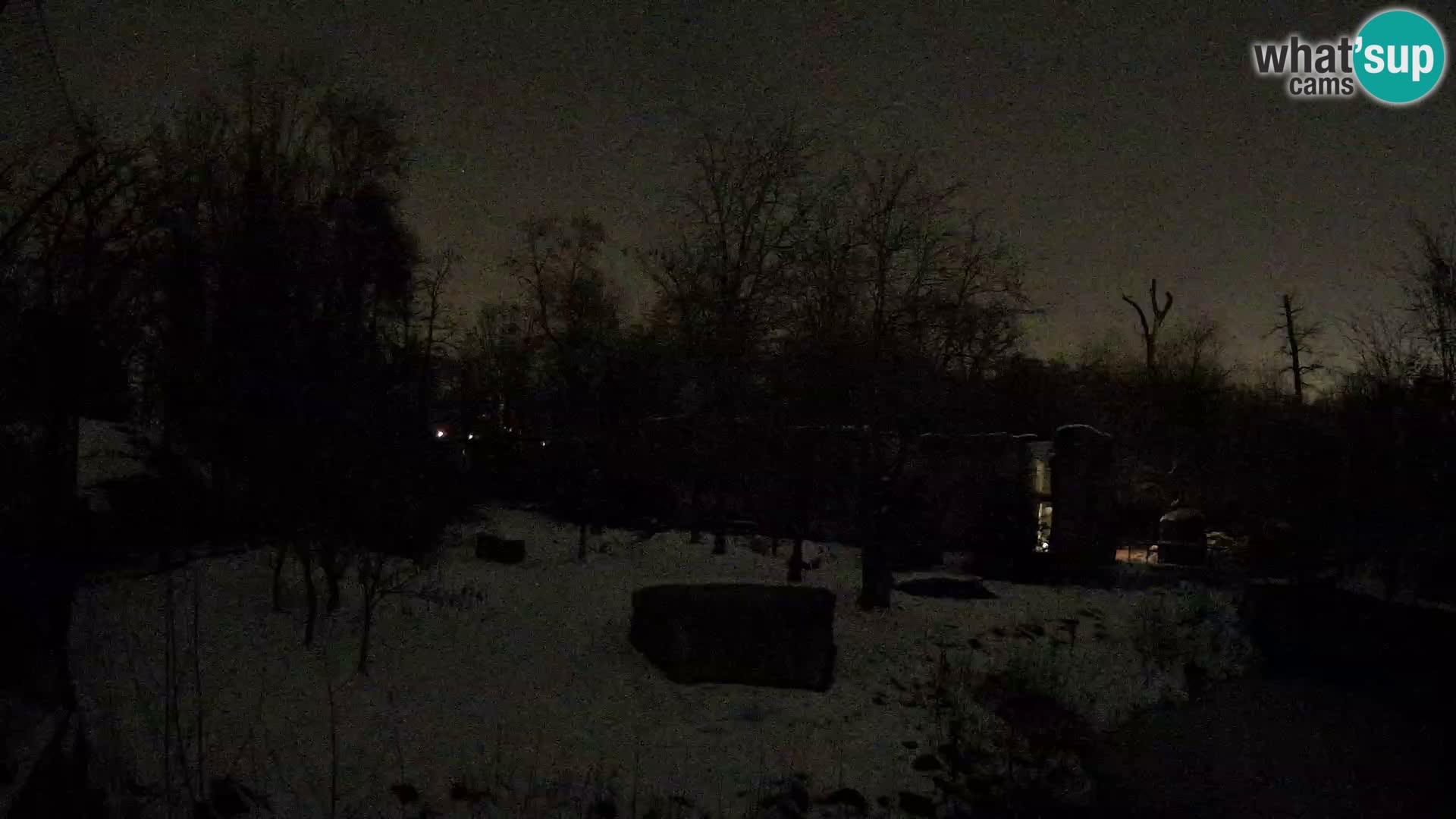 Zoo Zagreb – Leones