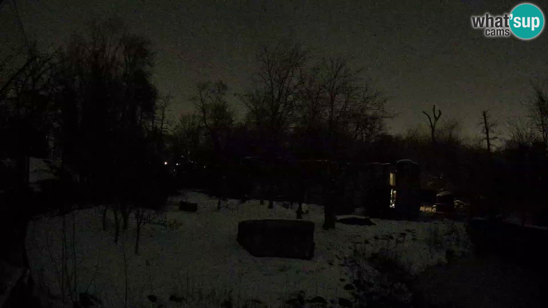 Zoo Zagreb – Leones