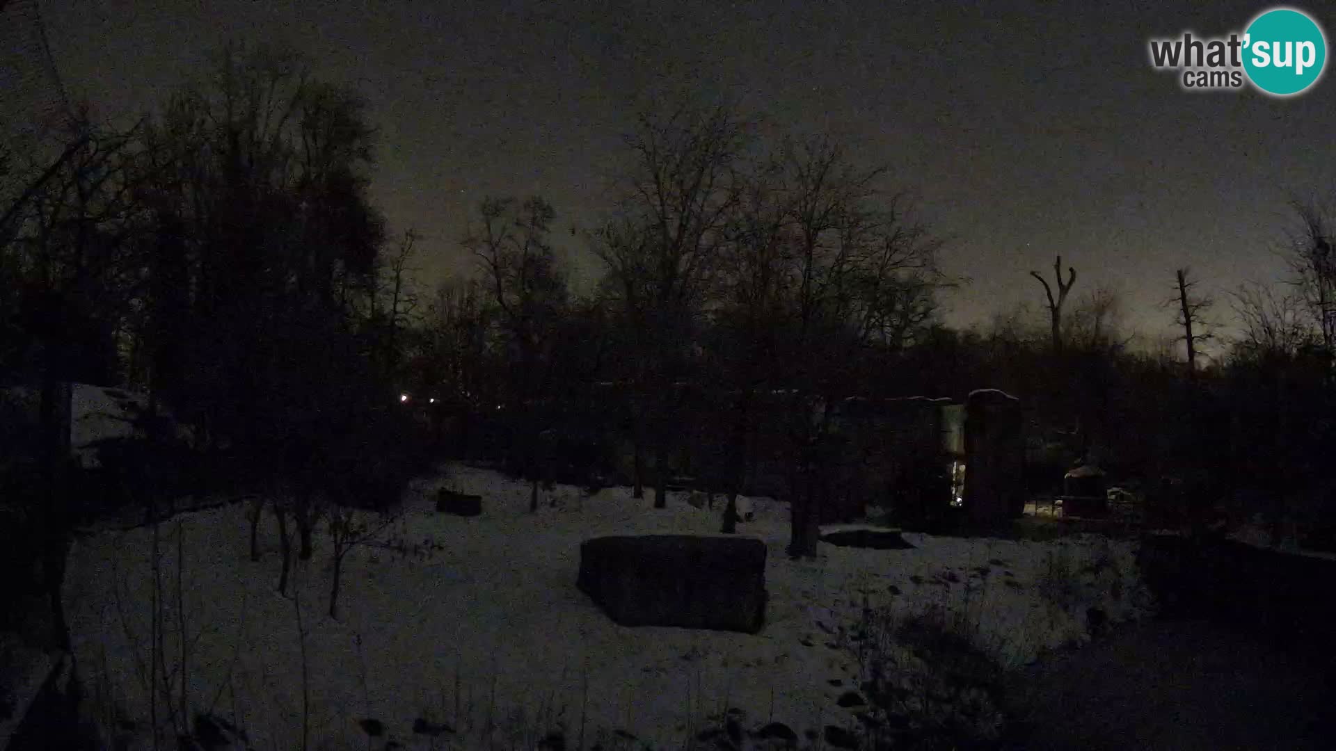 Zoo Zagreb – Lavovi