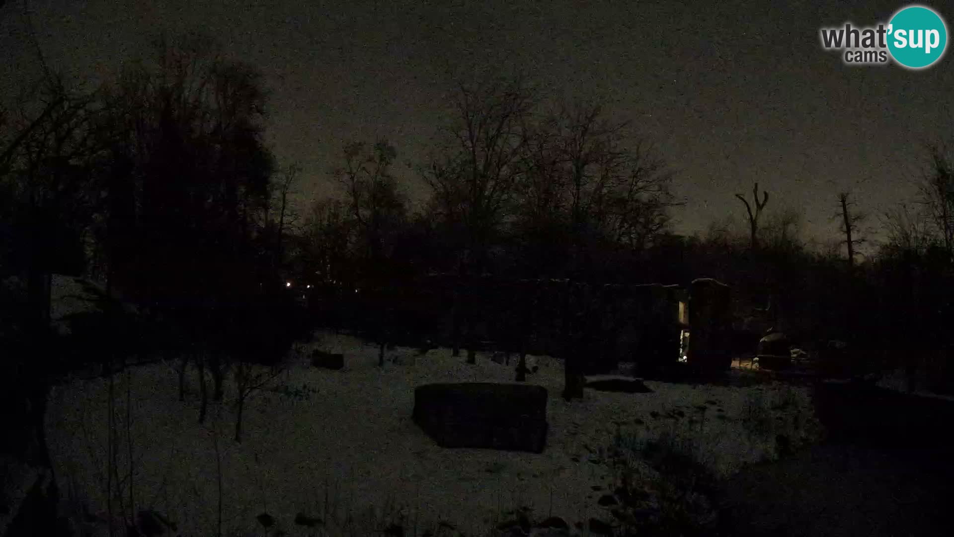 Zoo Zagreb – Leoni