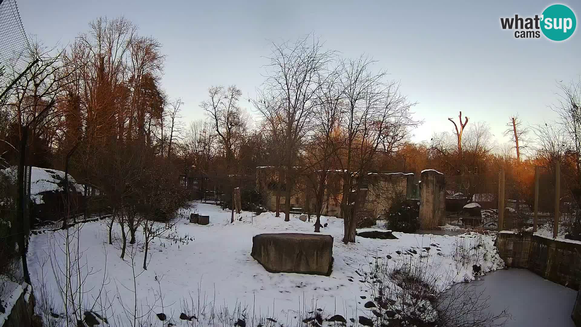 Zoo Zagreb – Leoni