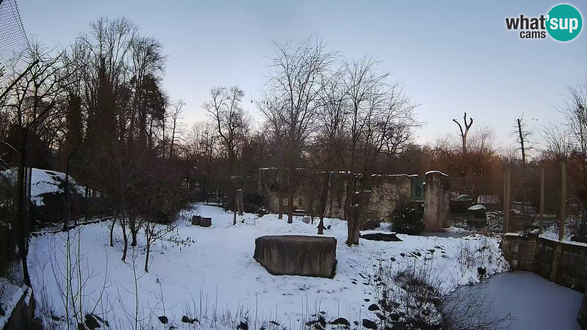 Zoo Zagreb – Leoni