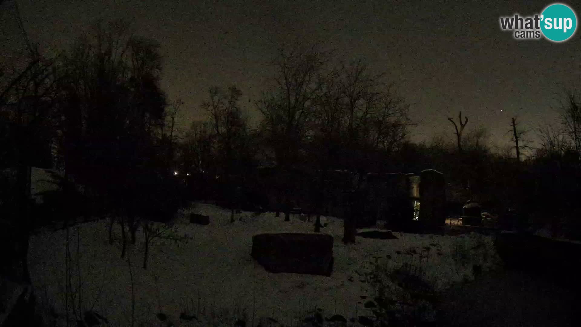 Zoo Zagreb – Löwen