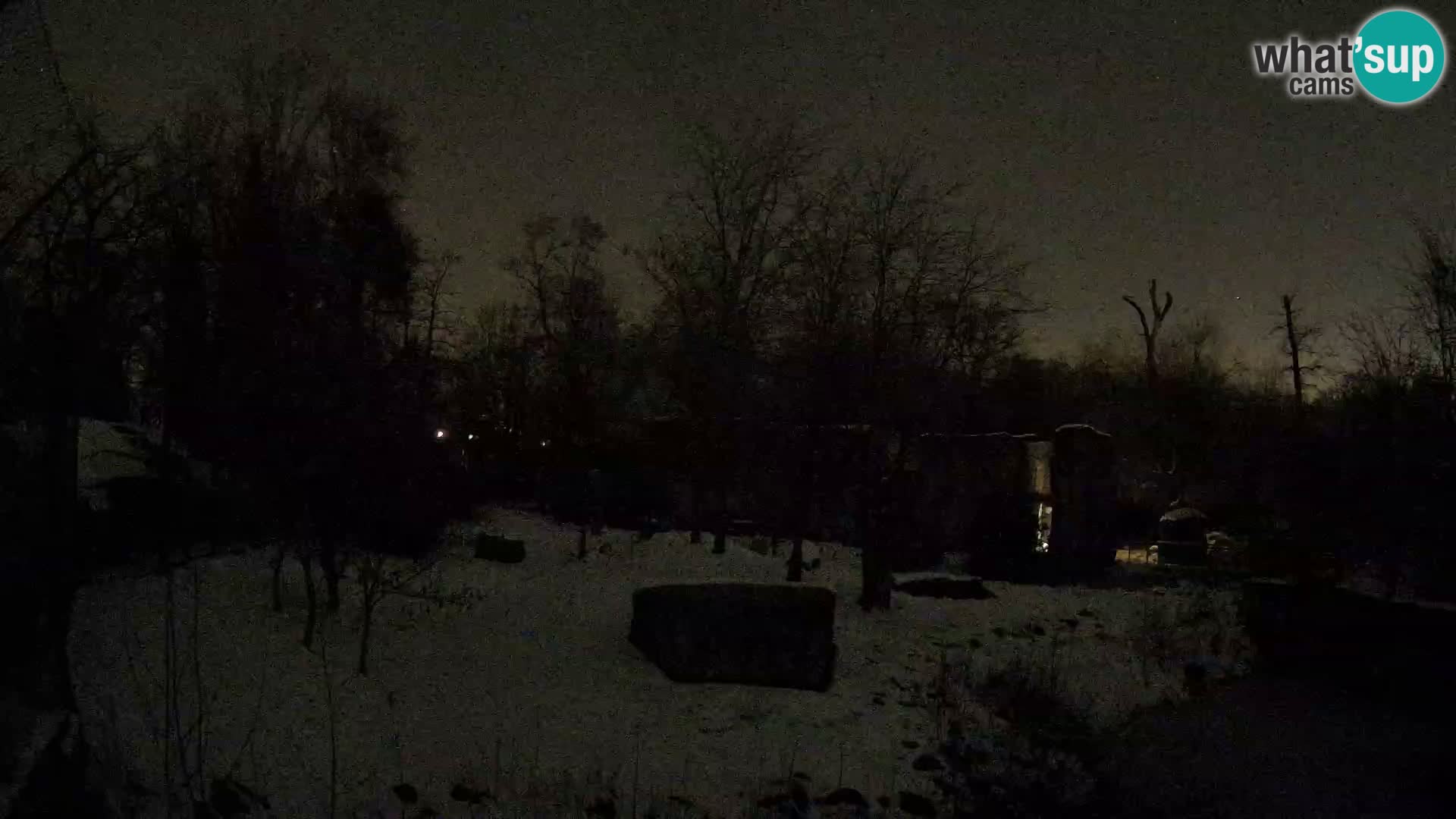 Zoo Zagreb – Leoni