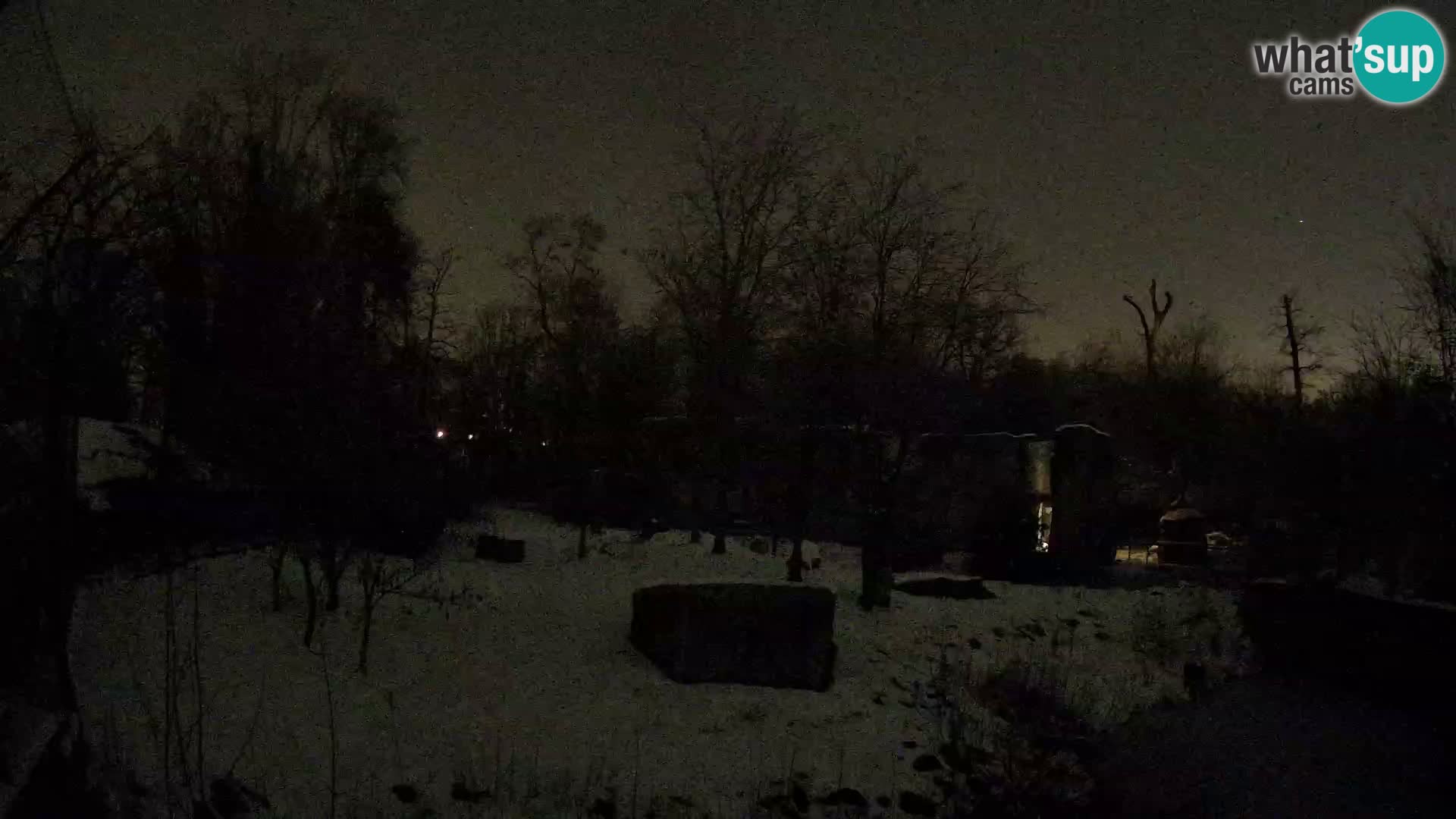 Spletna kamera Zoo Zagreb – Levi