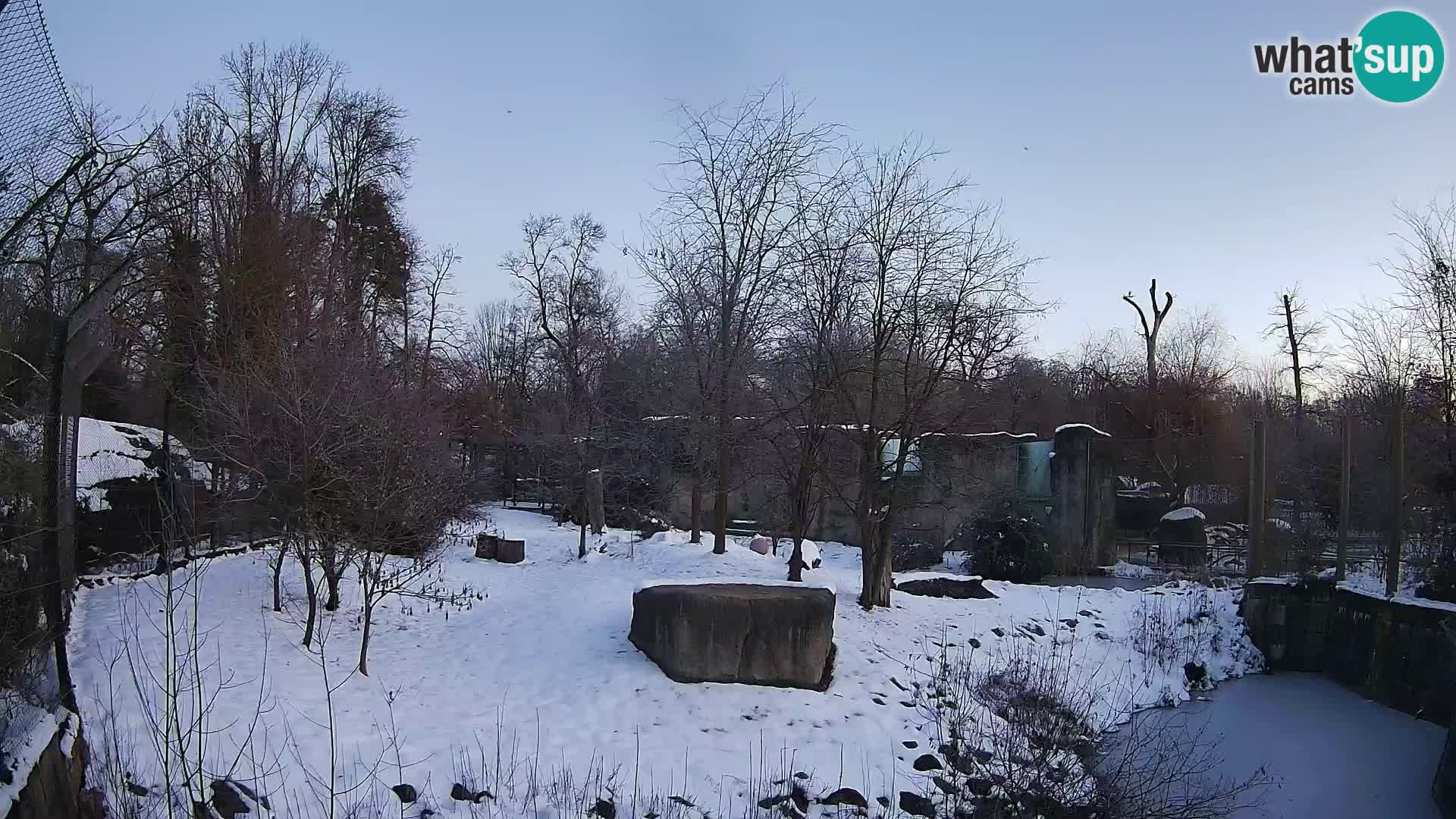 Zoo Zagreb – Leoni