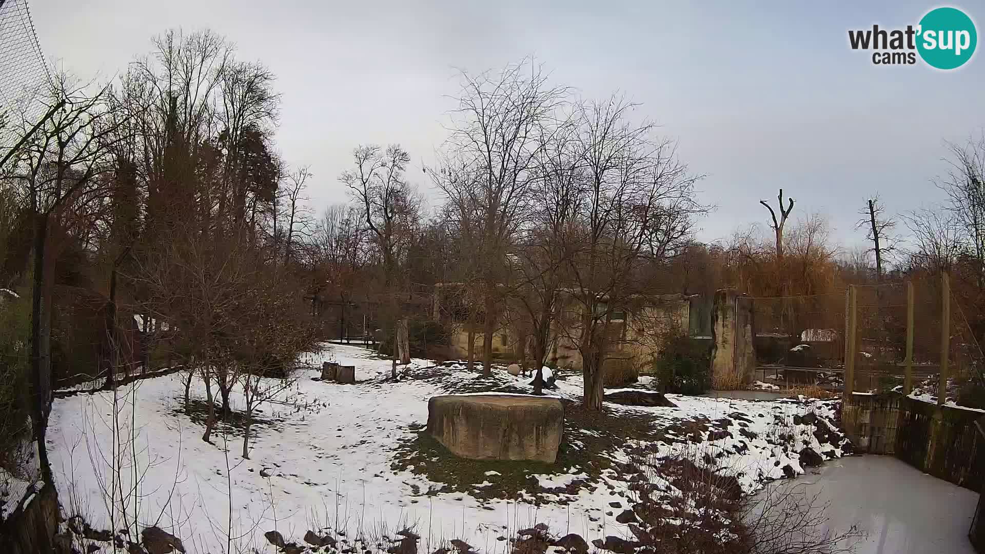 Zoo Zagreb – Löwen