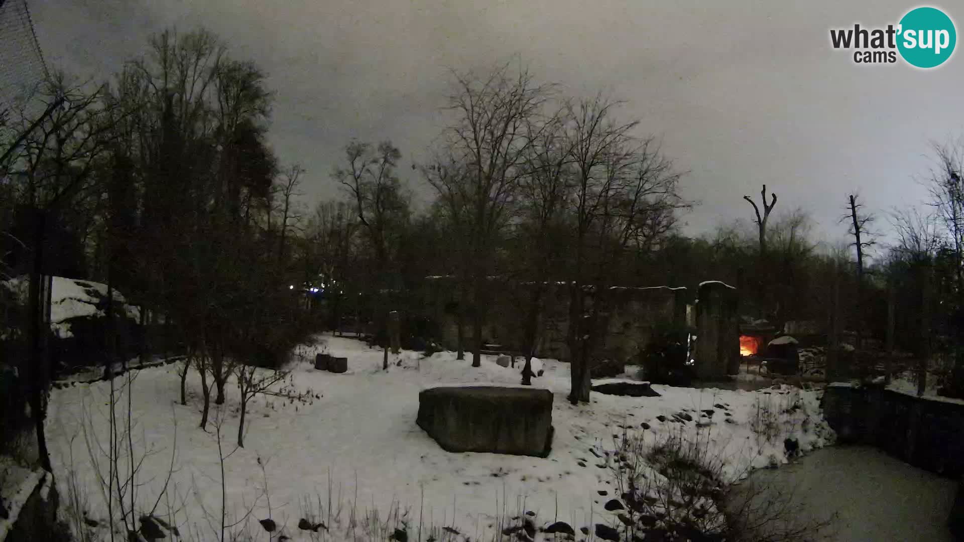 Zoo Zagreb – Leoni