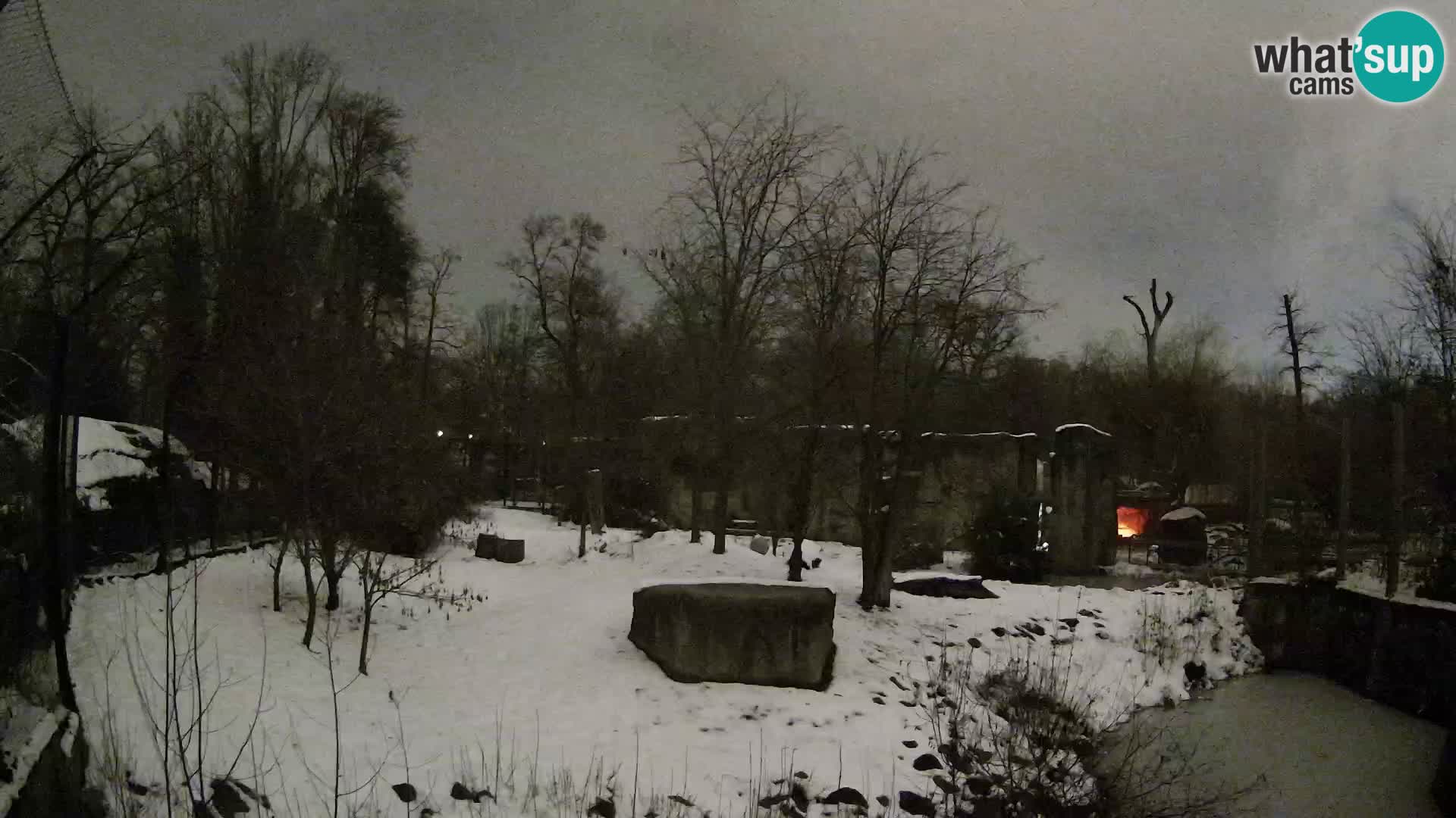 Zoo Zagreb – Leoni