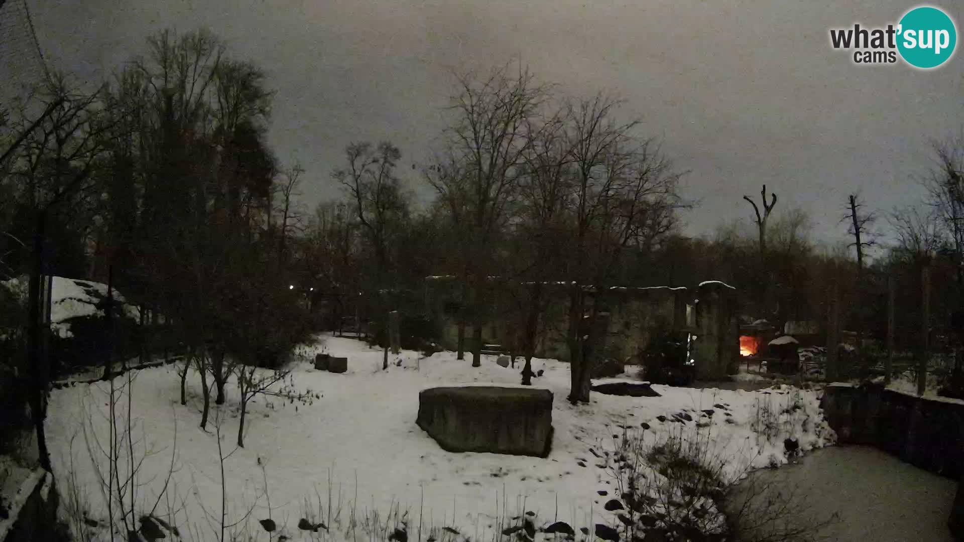 Zoo Zagreb – Löwen