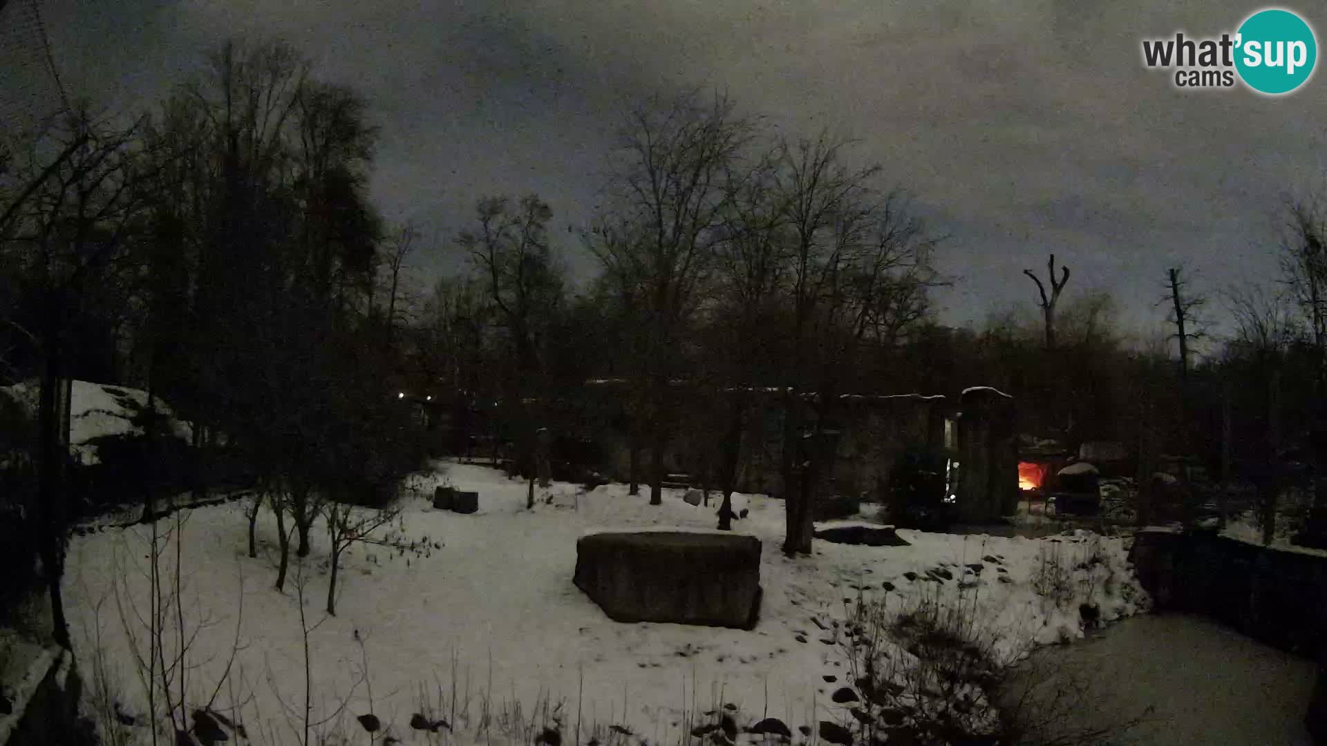 Zoo Zagreb – Lavovi