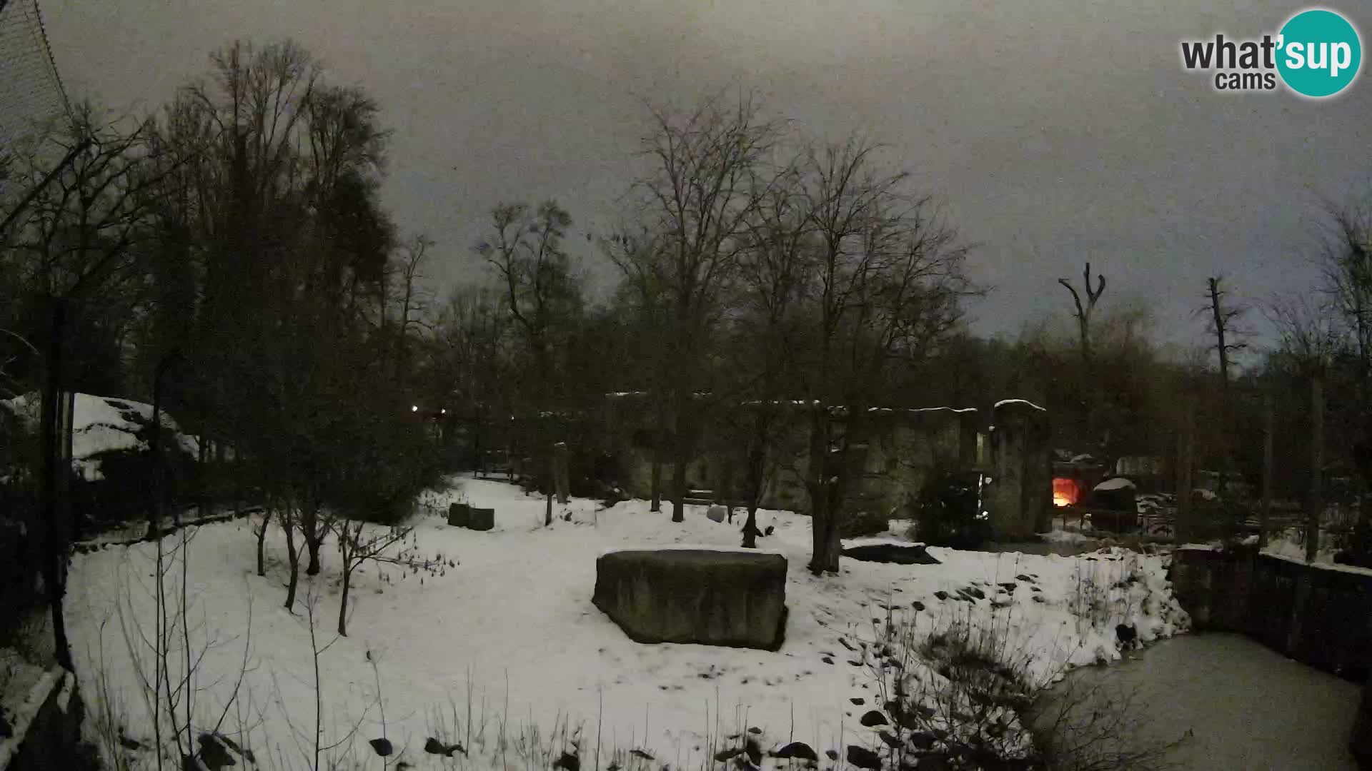 Spletna kamera Zoo Zagreb – Levi