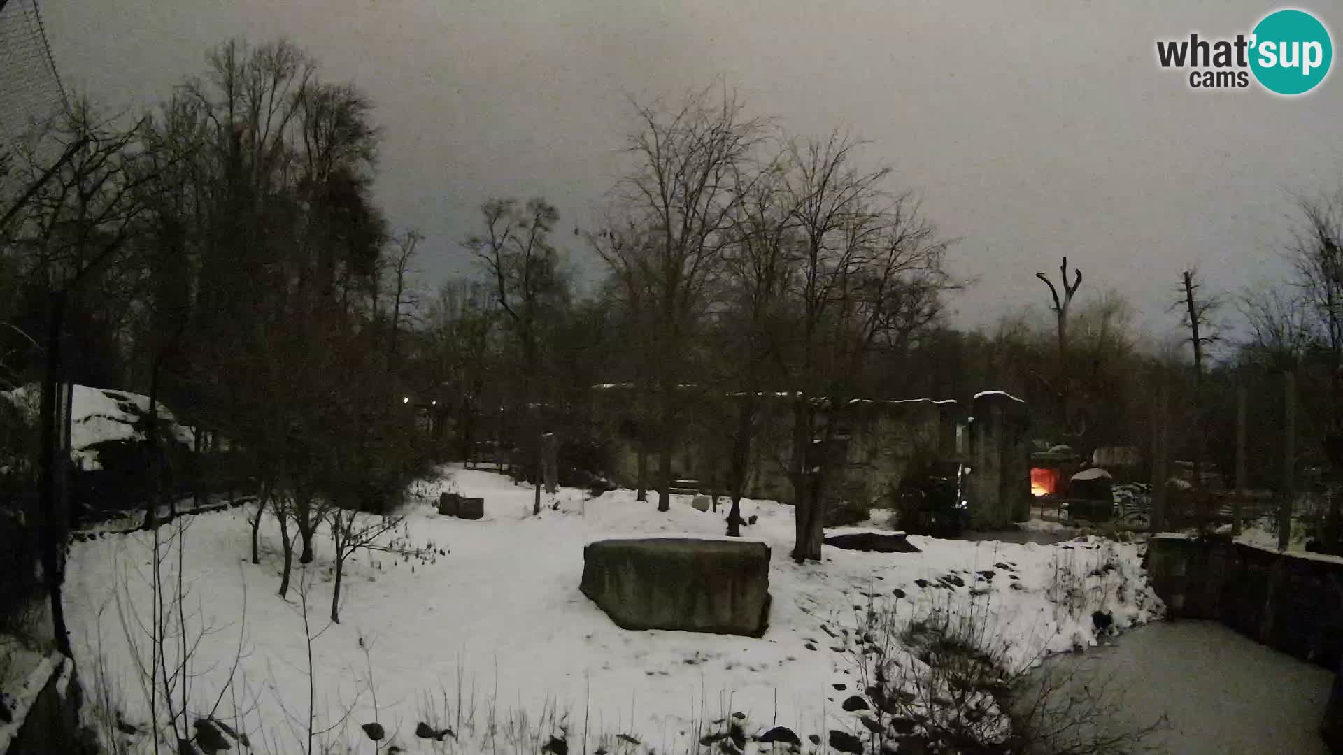 Zoo Zagreb – Löwen