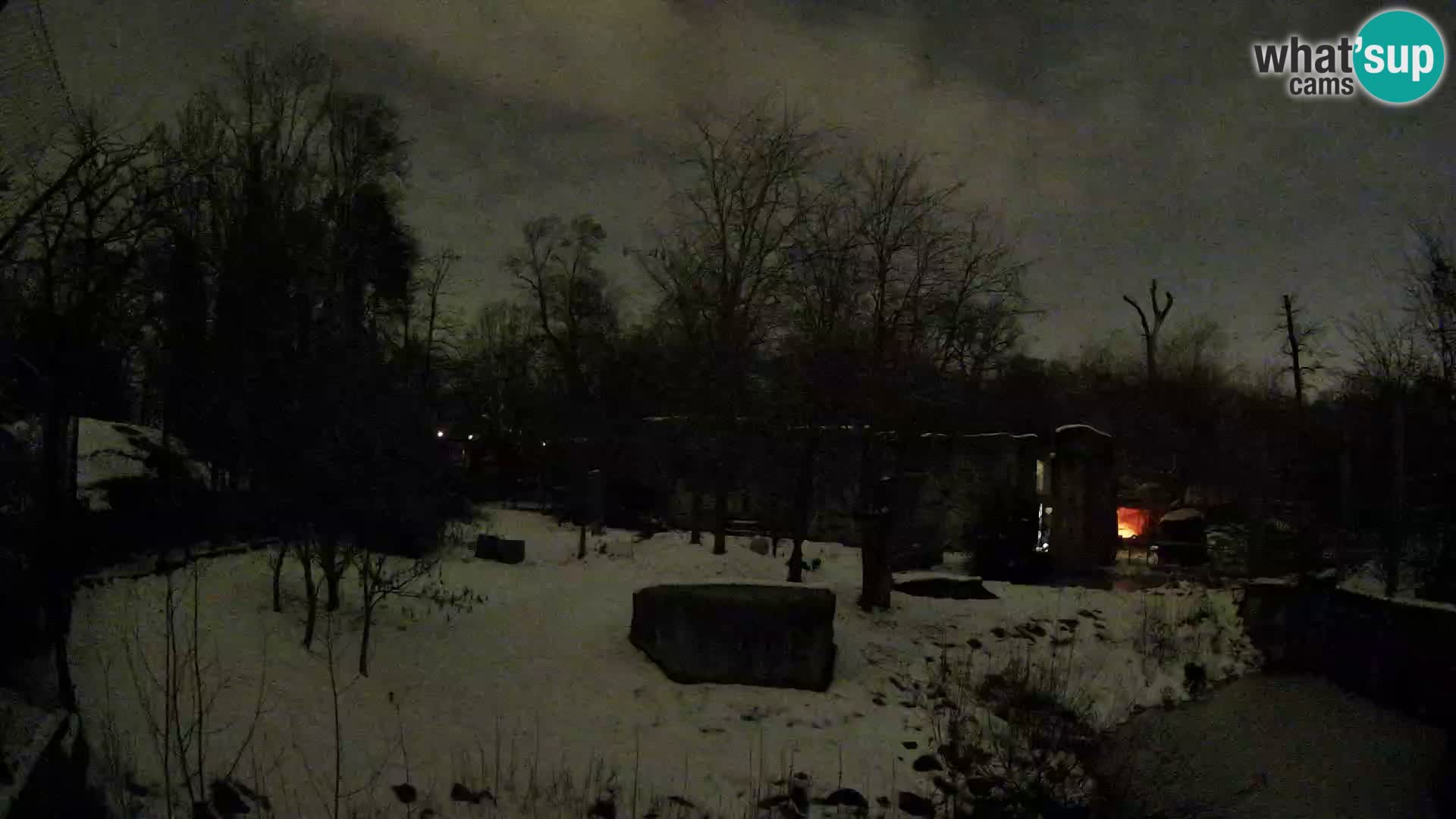 Zoo Zagreb – Löwen