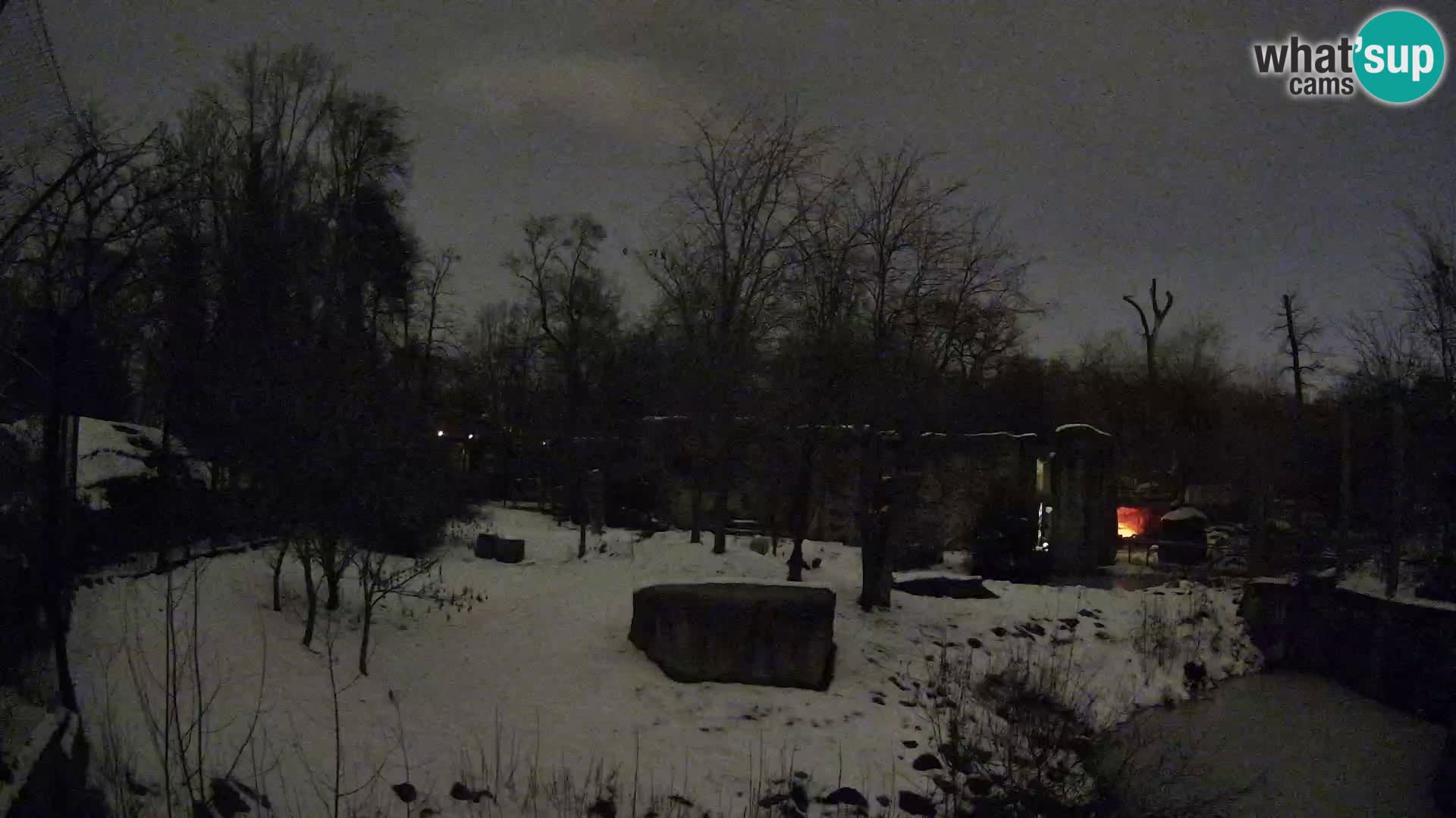 Zoo Zagreb – Leoni