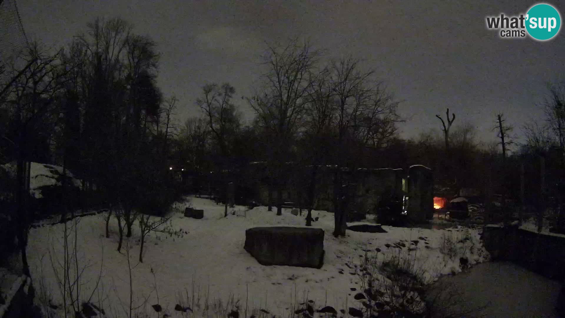 Zoo Zagreb – Leoni