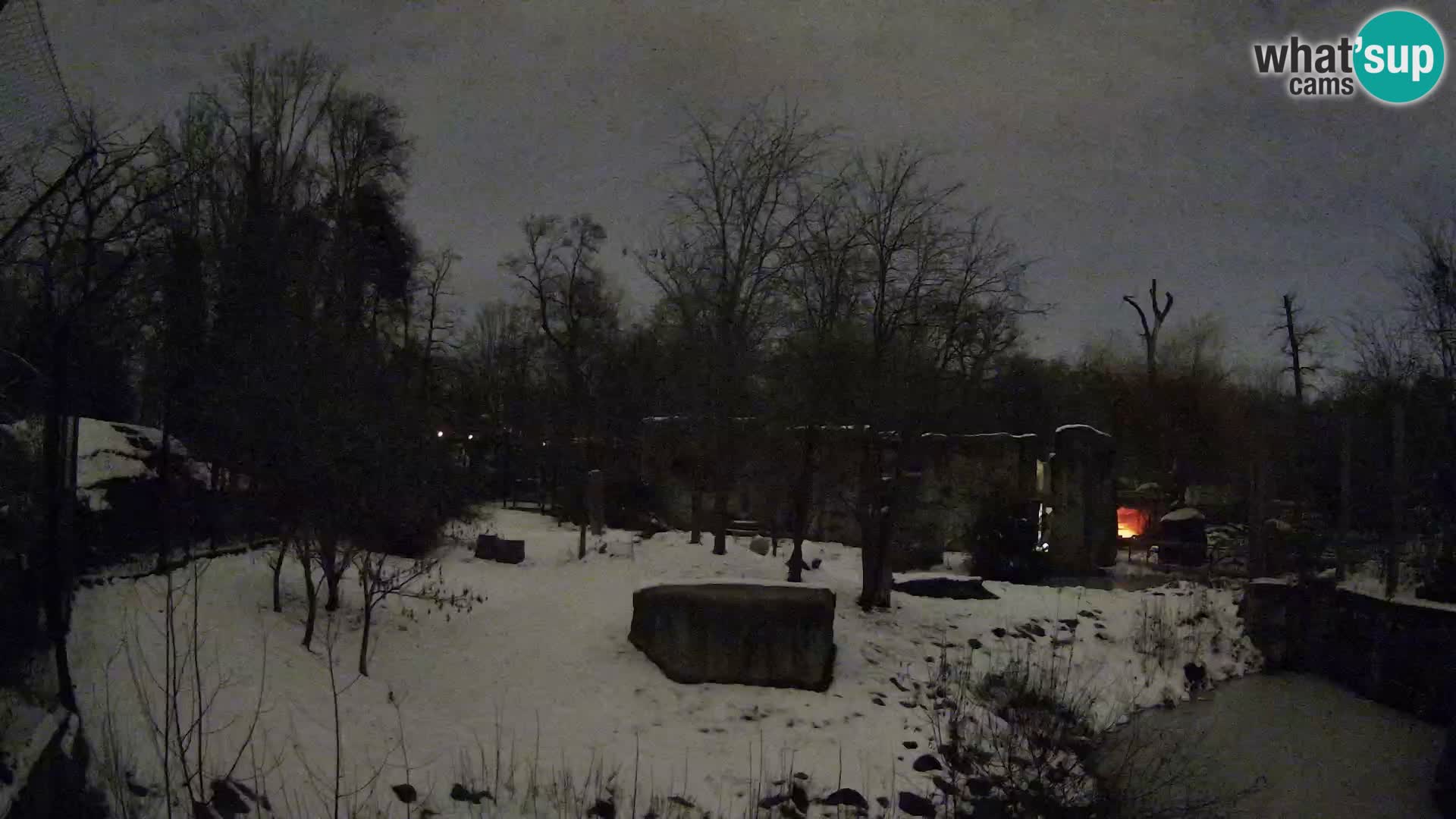 Zoo Zagreb – Leones