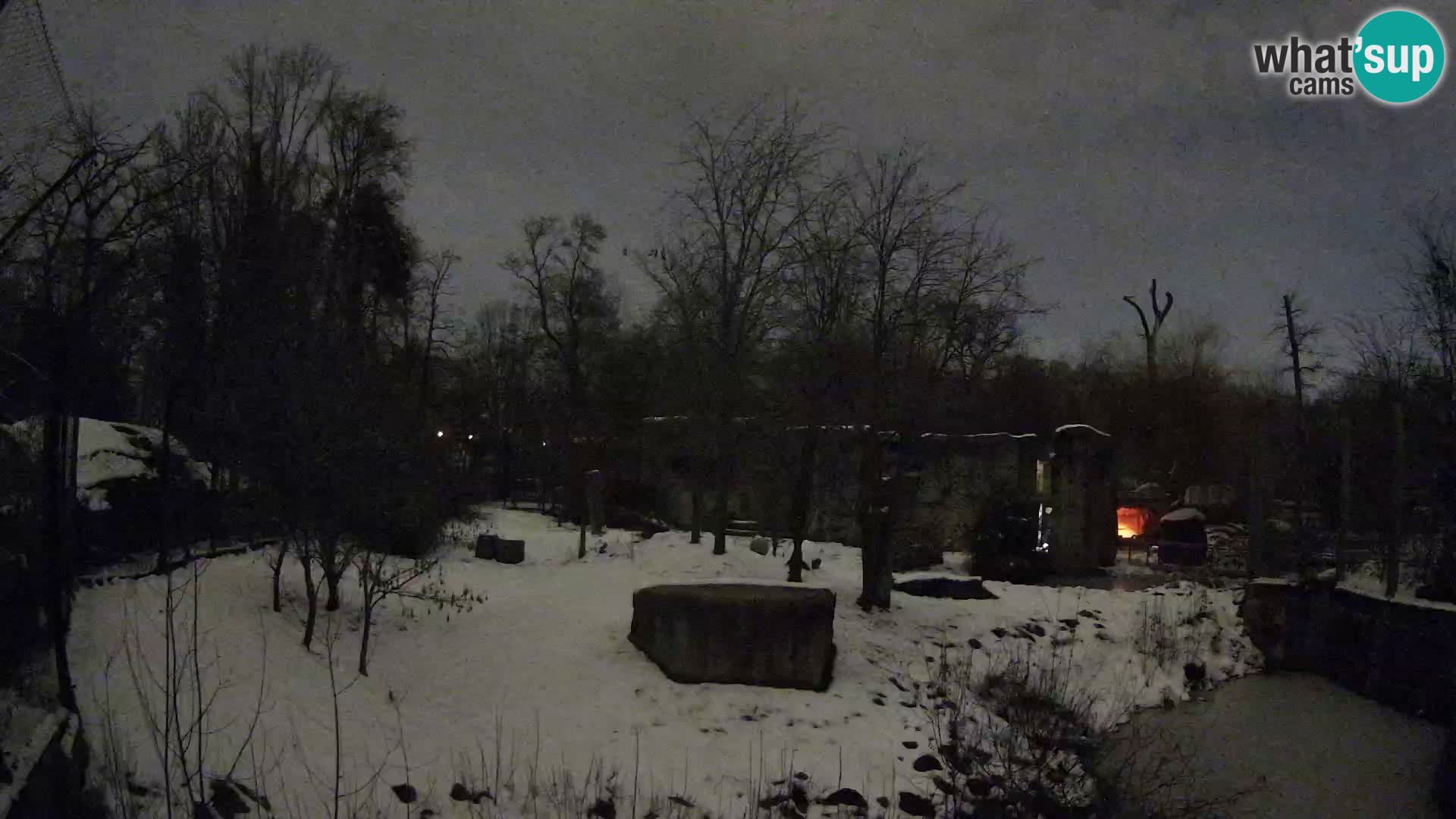 Zoo Zagreb – Lavovi