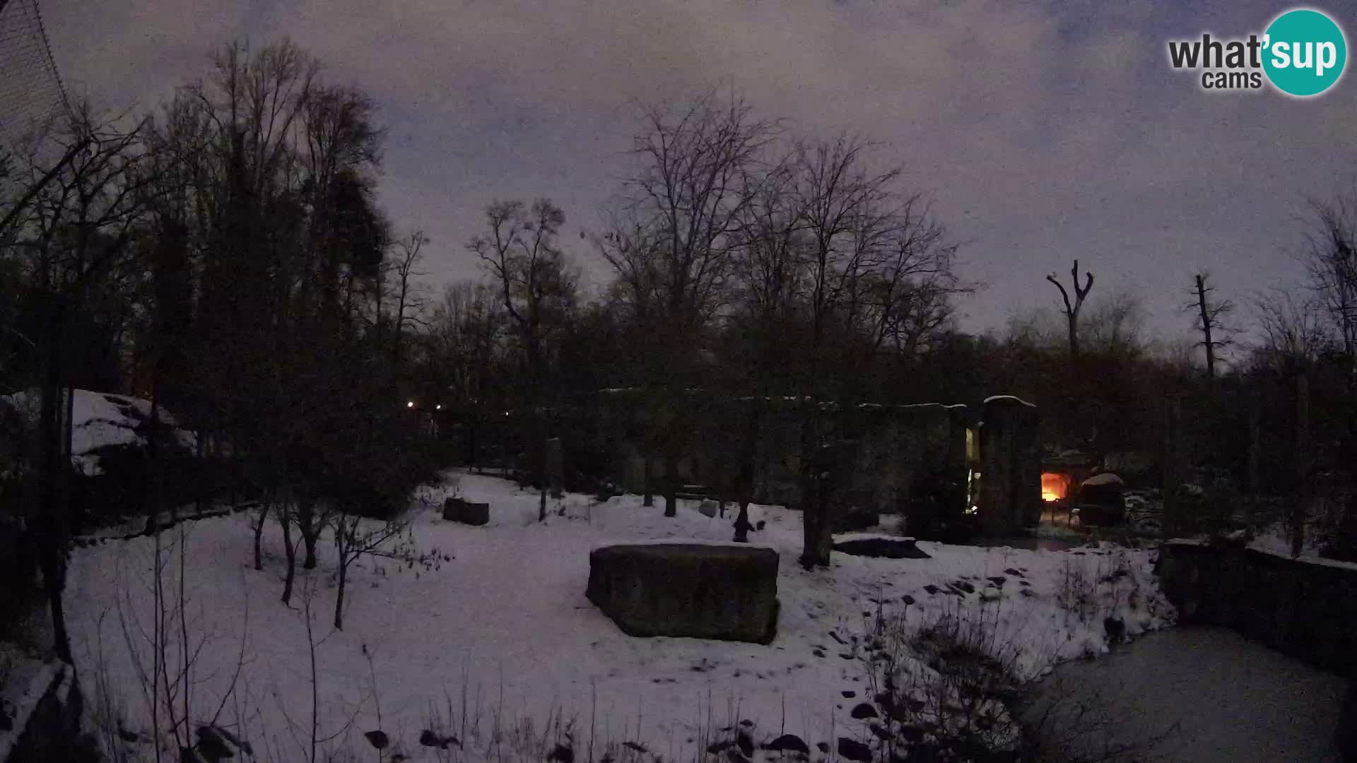 Spletna kamera Zoo Zagreb – Levi