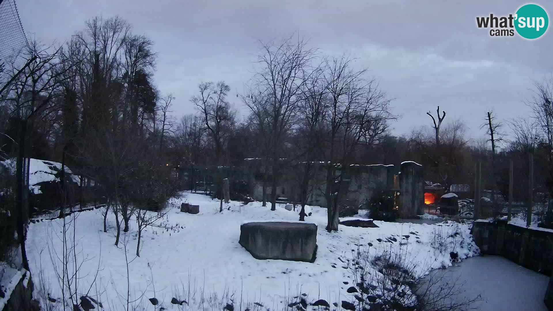 Zoo Zagreb – Leoni