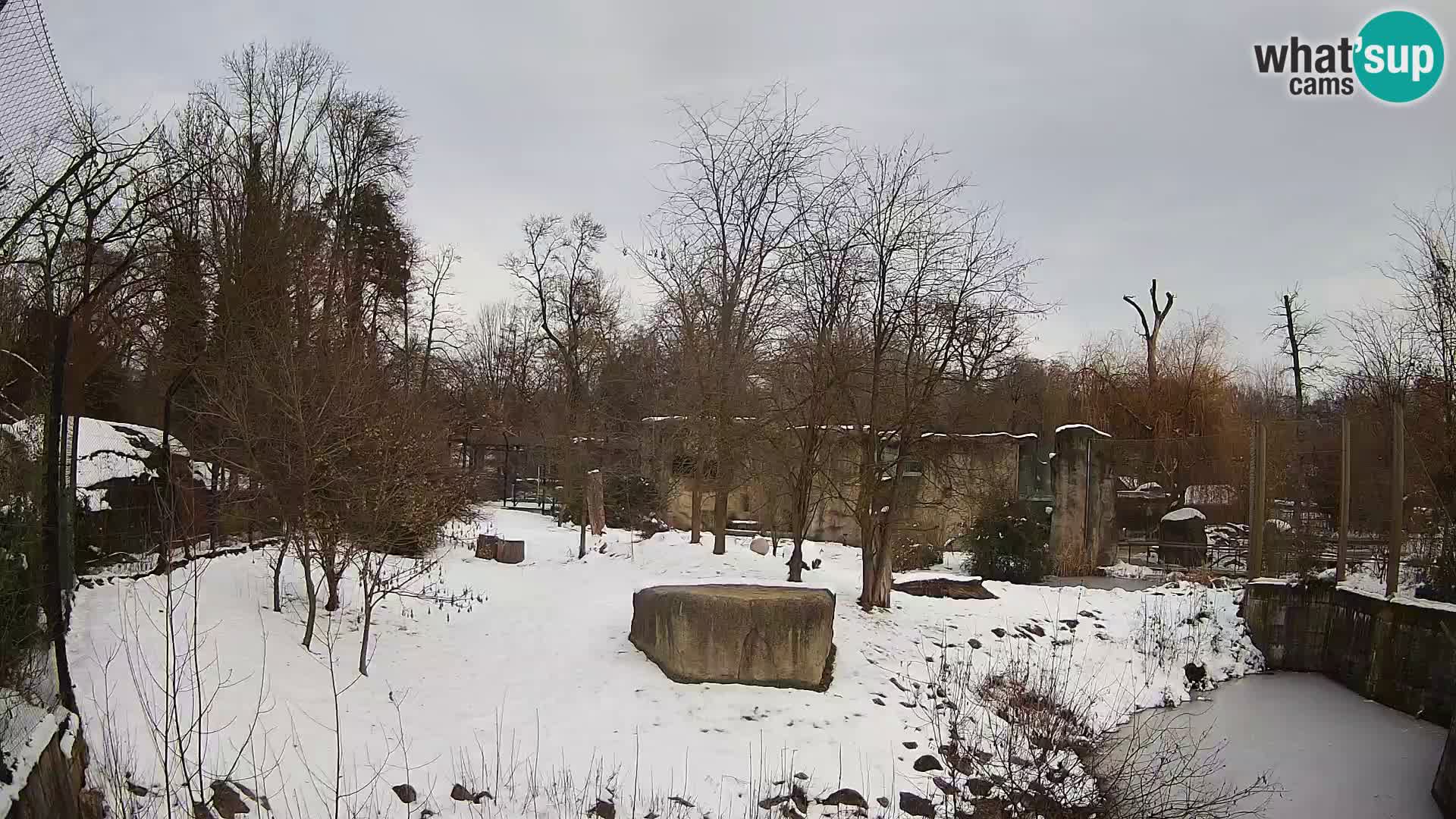 Zoo Zagreb – Löwen