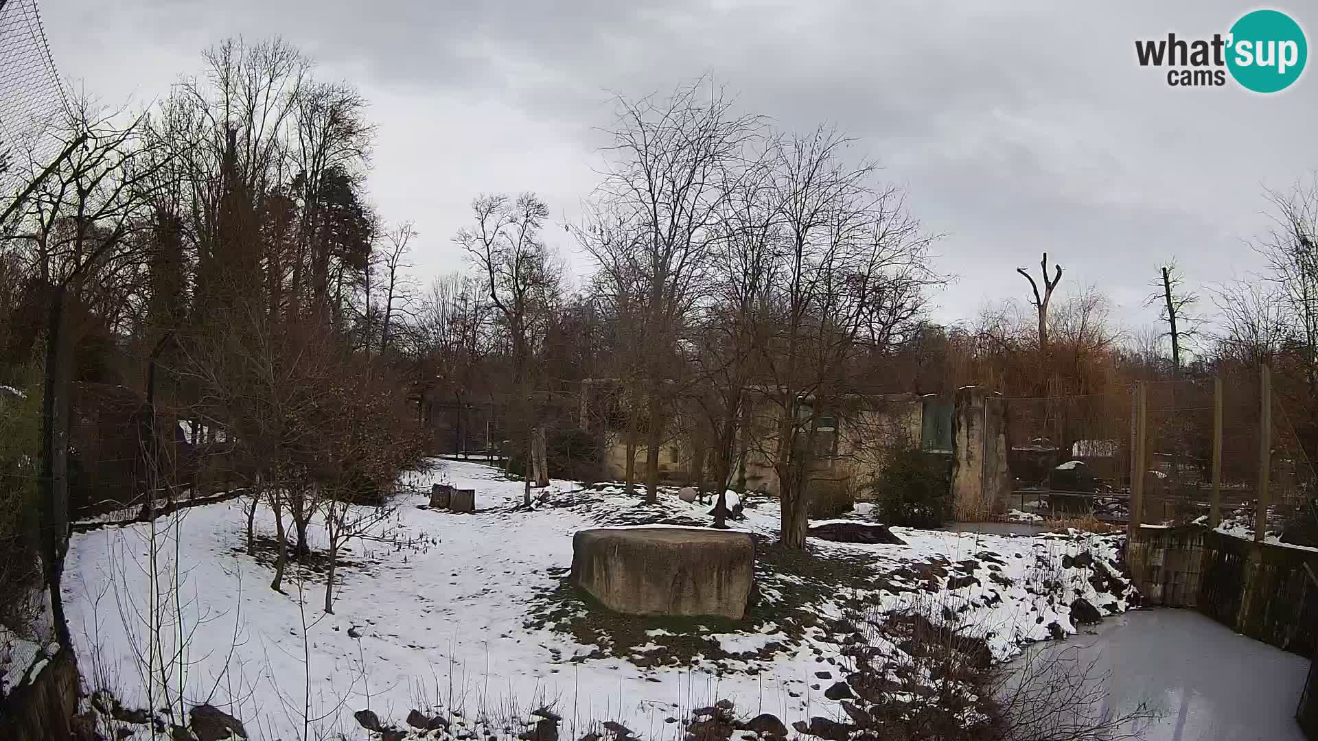 Zoo Zagreb – Leoni