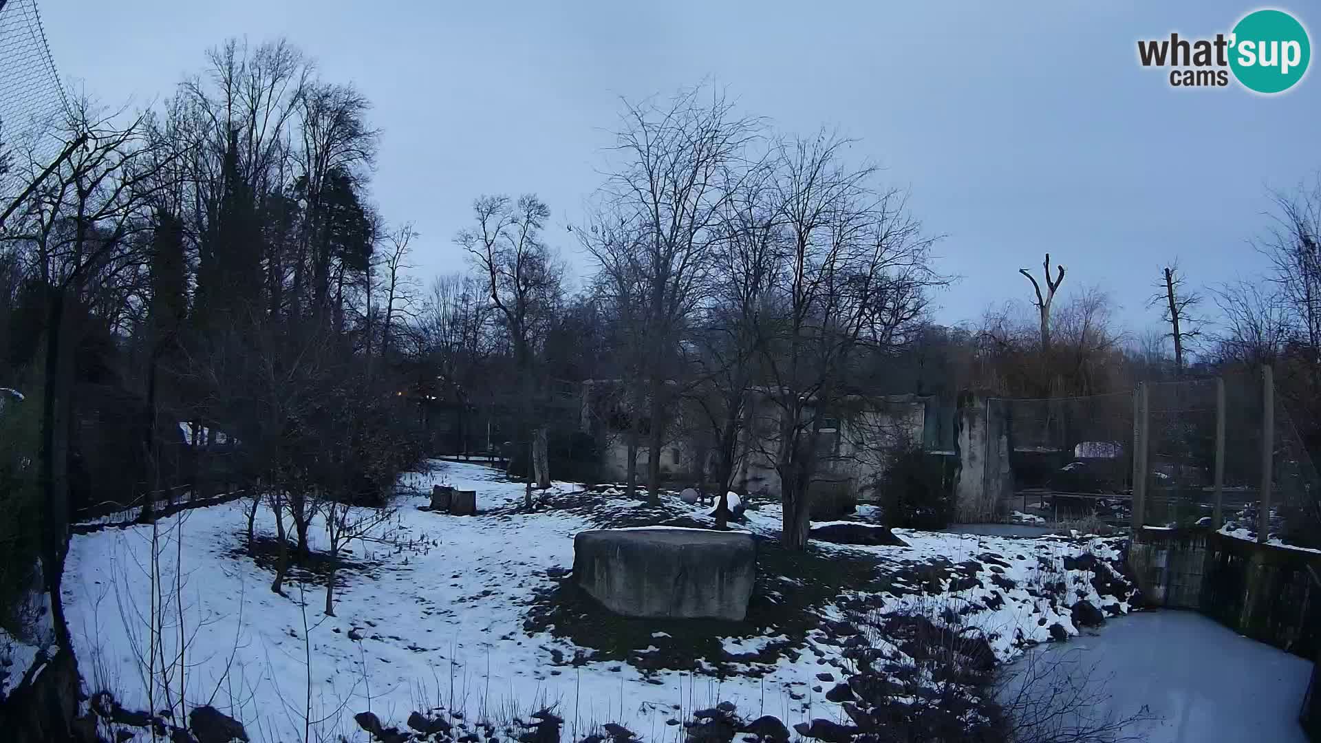 Zoo Zagreb – Leones