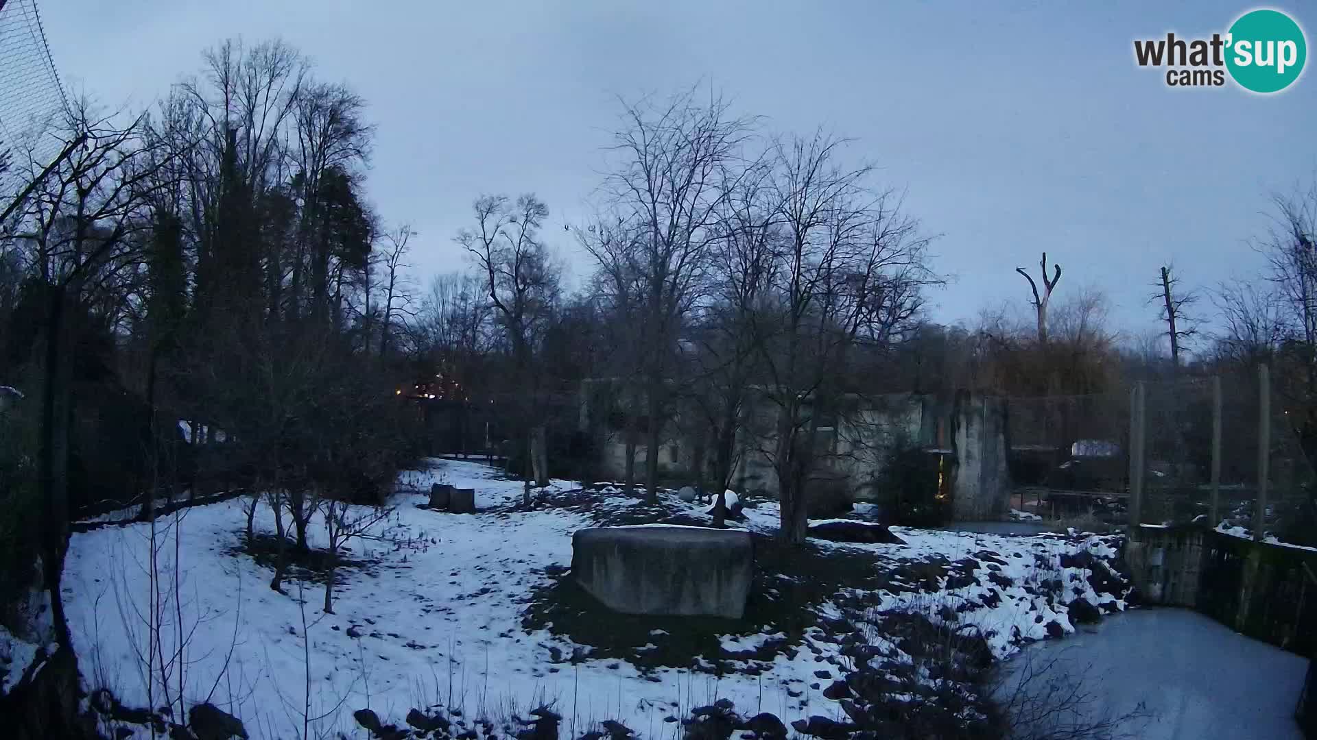 Zoo Zagreb – Leoni