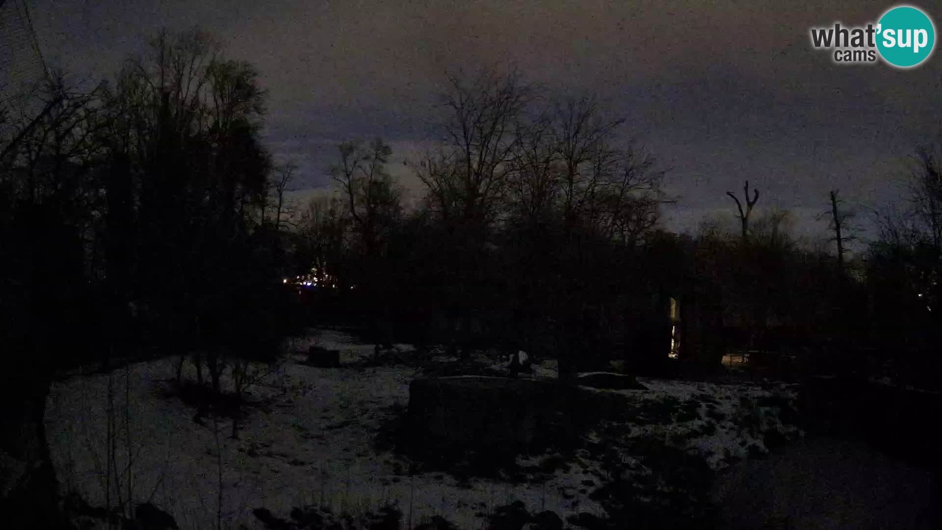 Zoo Zagreb – Löwen