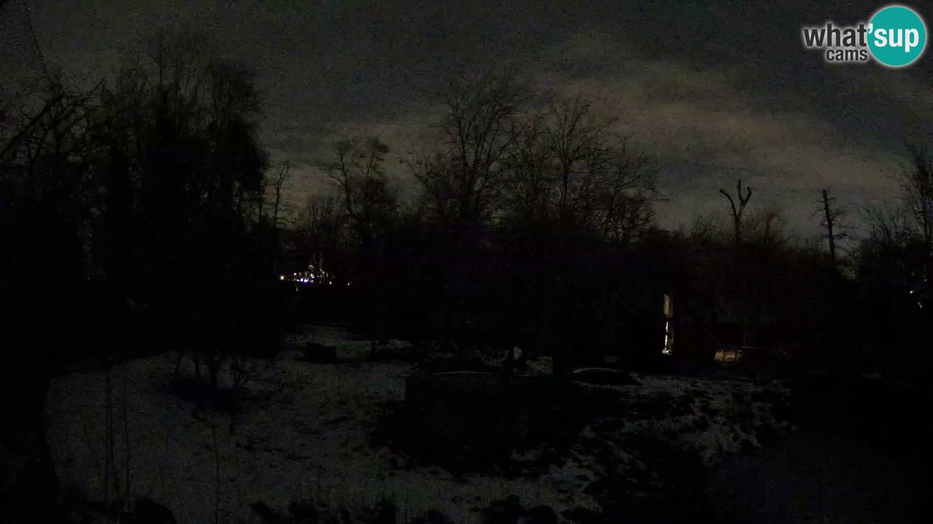 Zoo Zagreb – Leones