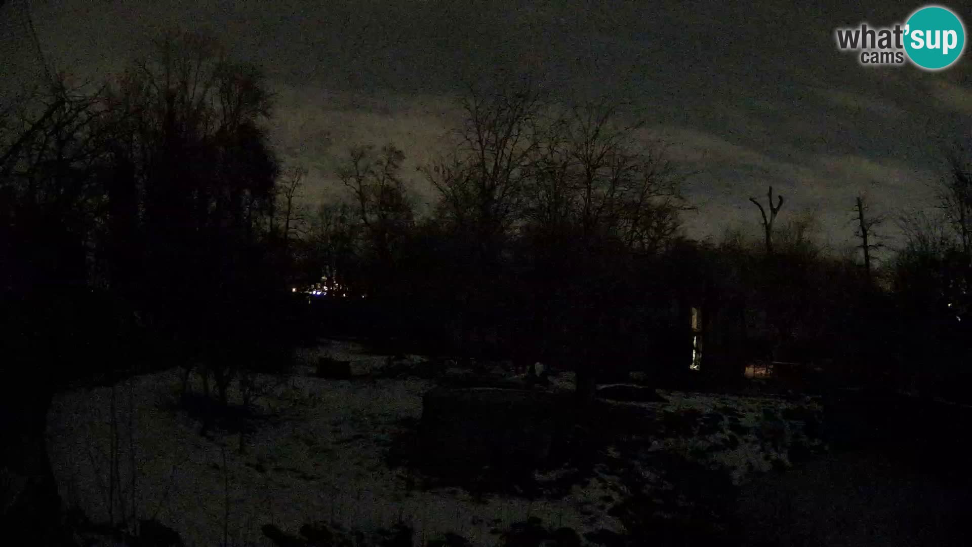 Zoo Zagreb – Leones