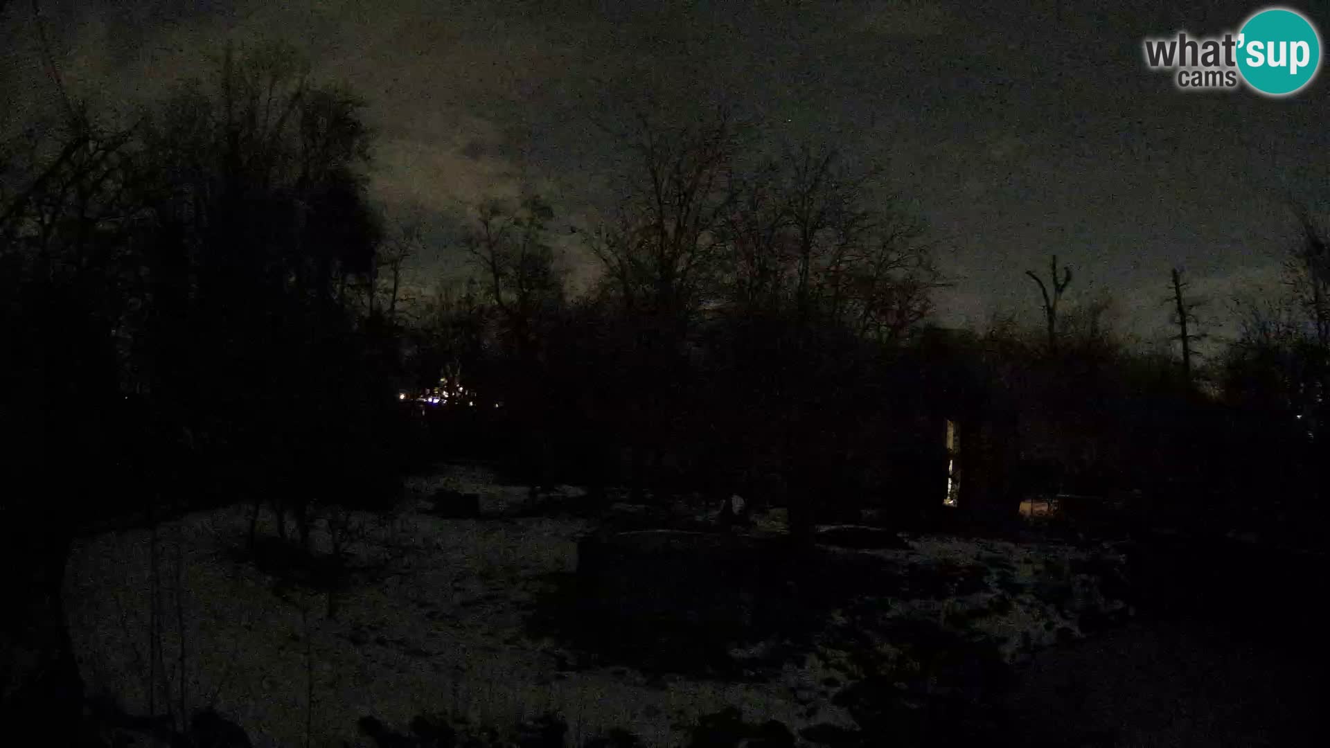 Zoo Zagreb – Löwen