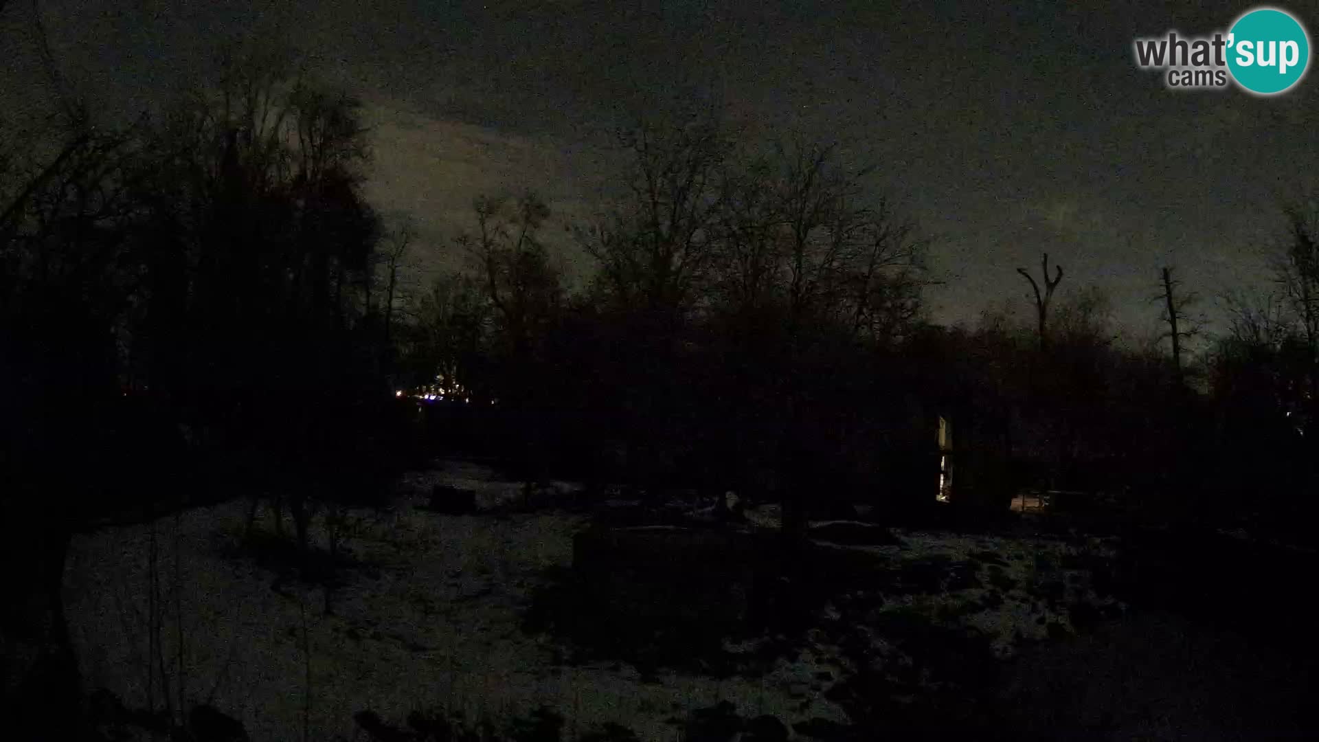 Spletna kamera Zoo Zagreb – Levi