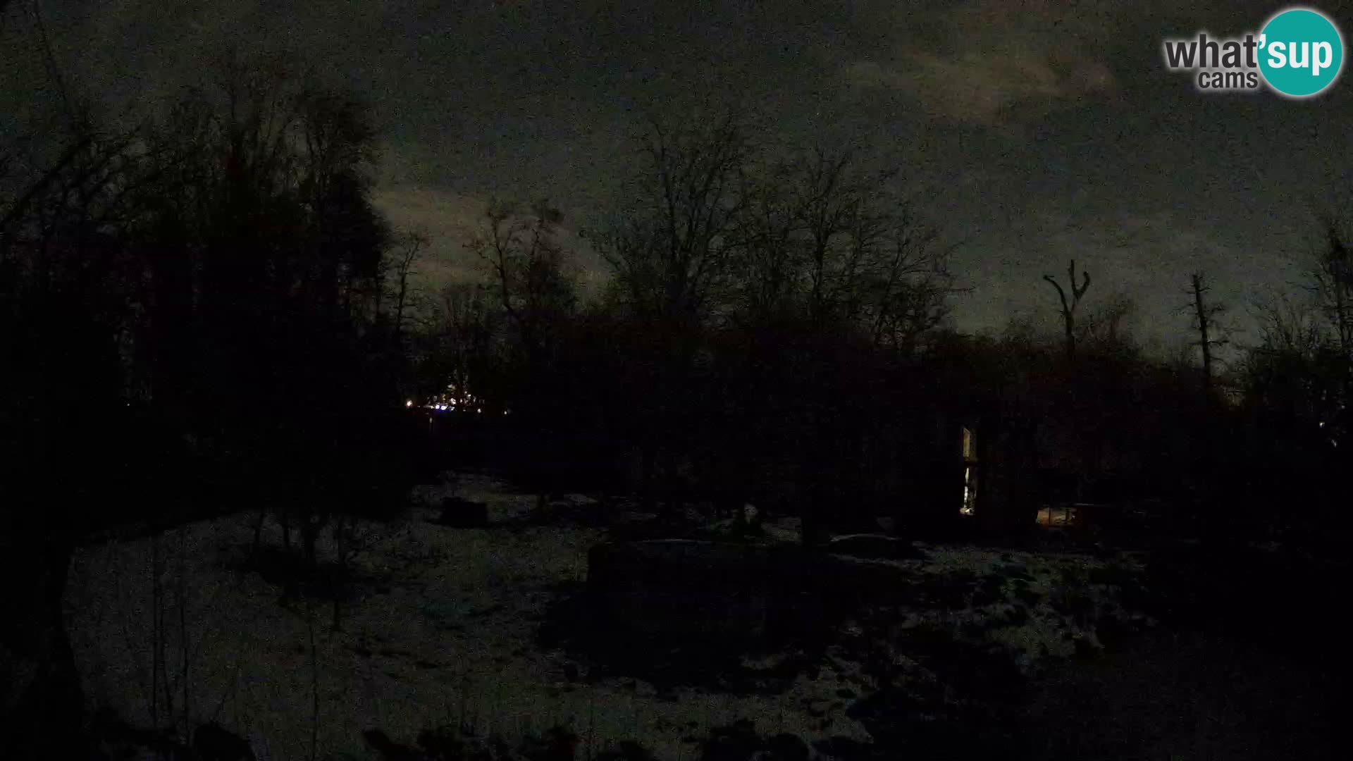 Zoo Zagreb – Lavovi