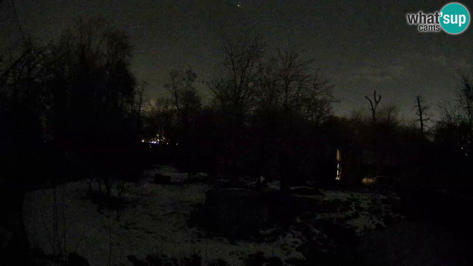 Zoo Zagreb – Leones