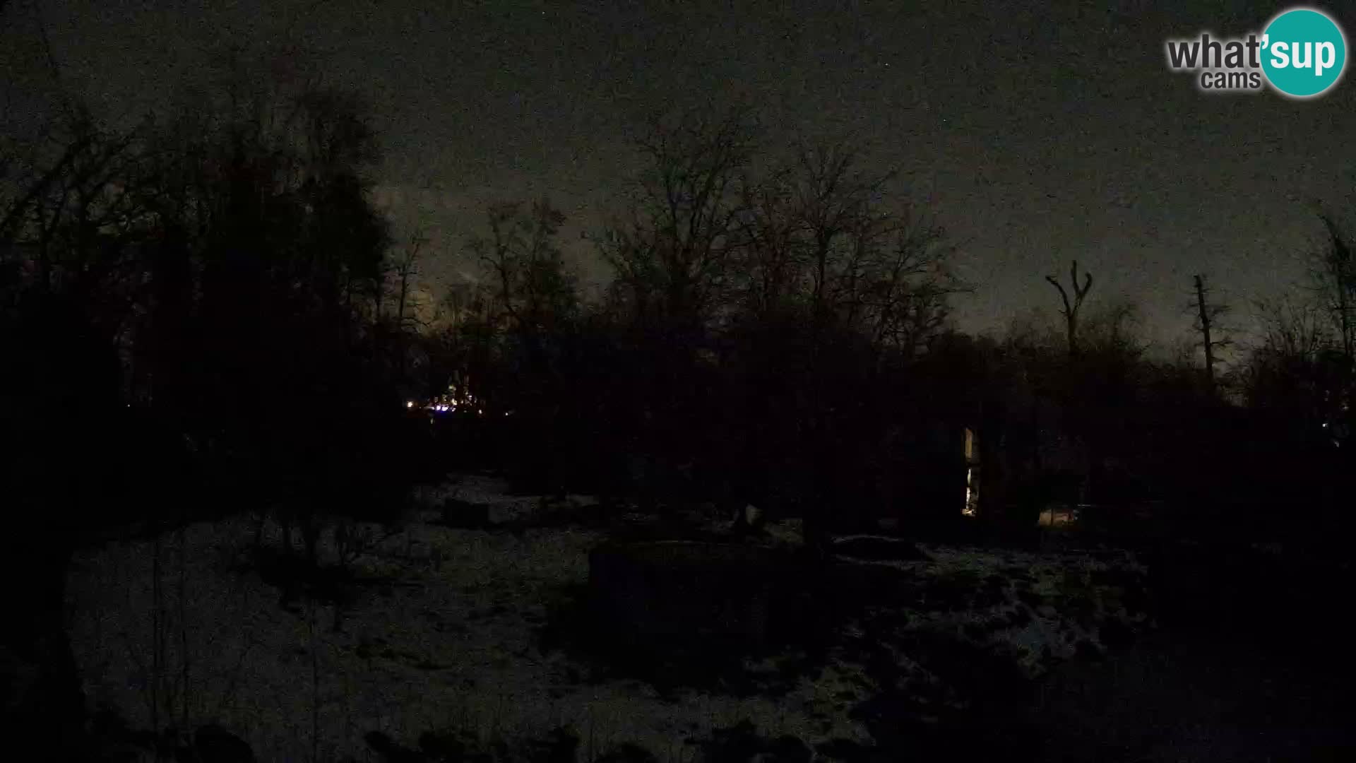 Zoo Zagreb – Leoni