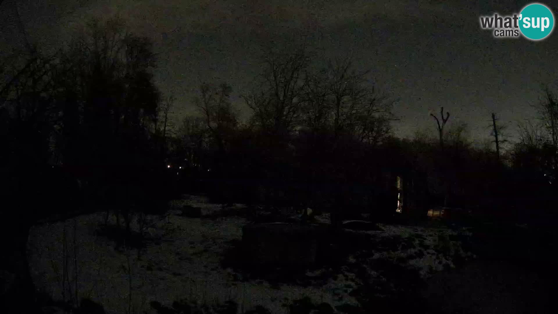 Zoo Zagreb – Leones