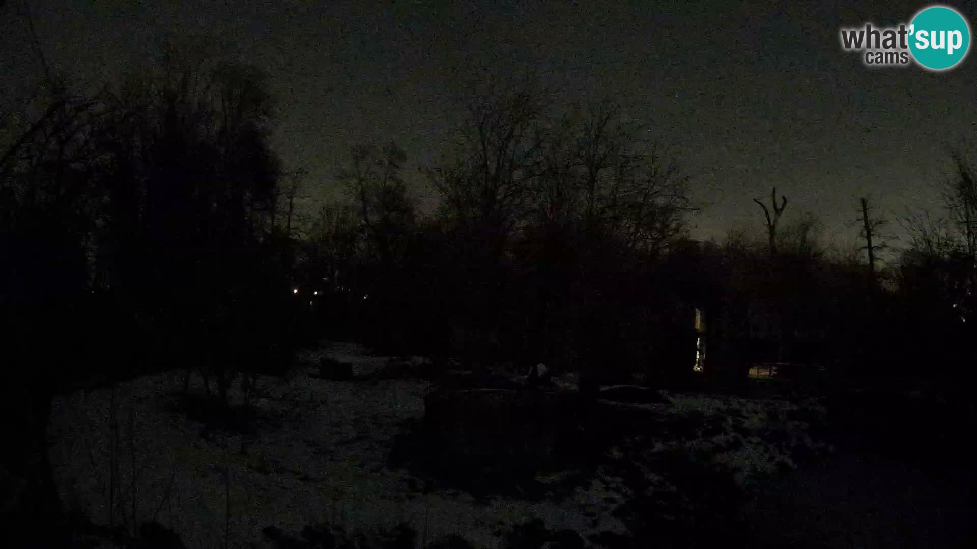 Zoo Zagreb – Lavovi