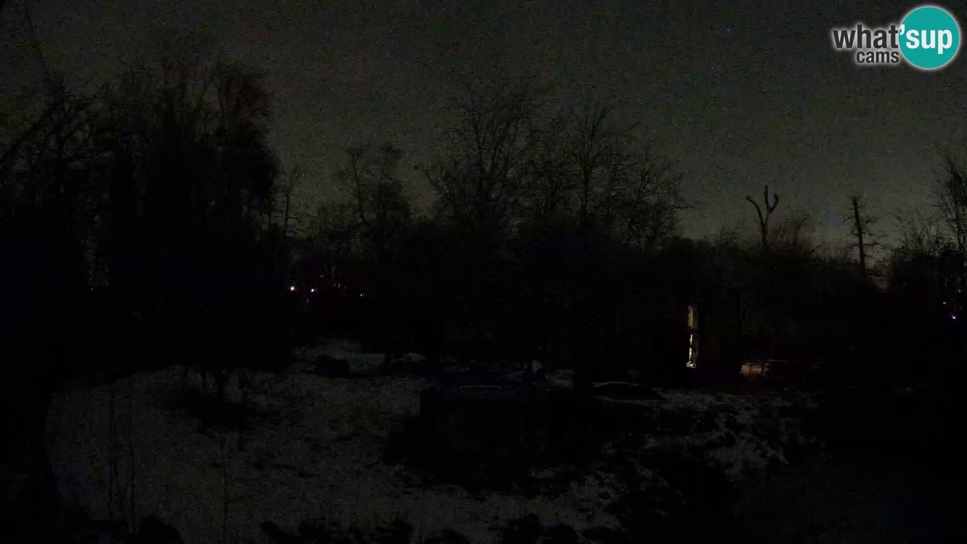 Zoo Zagreb – Löwen