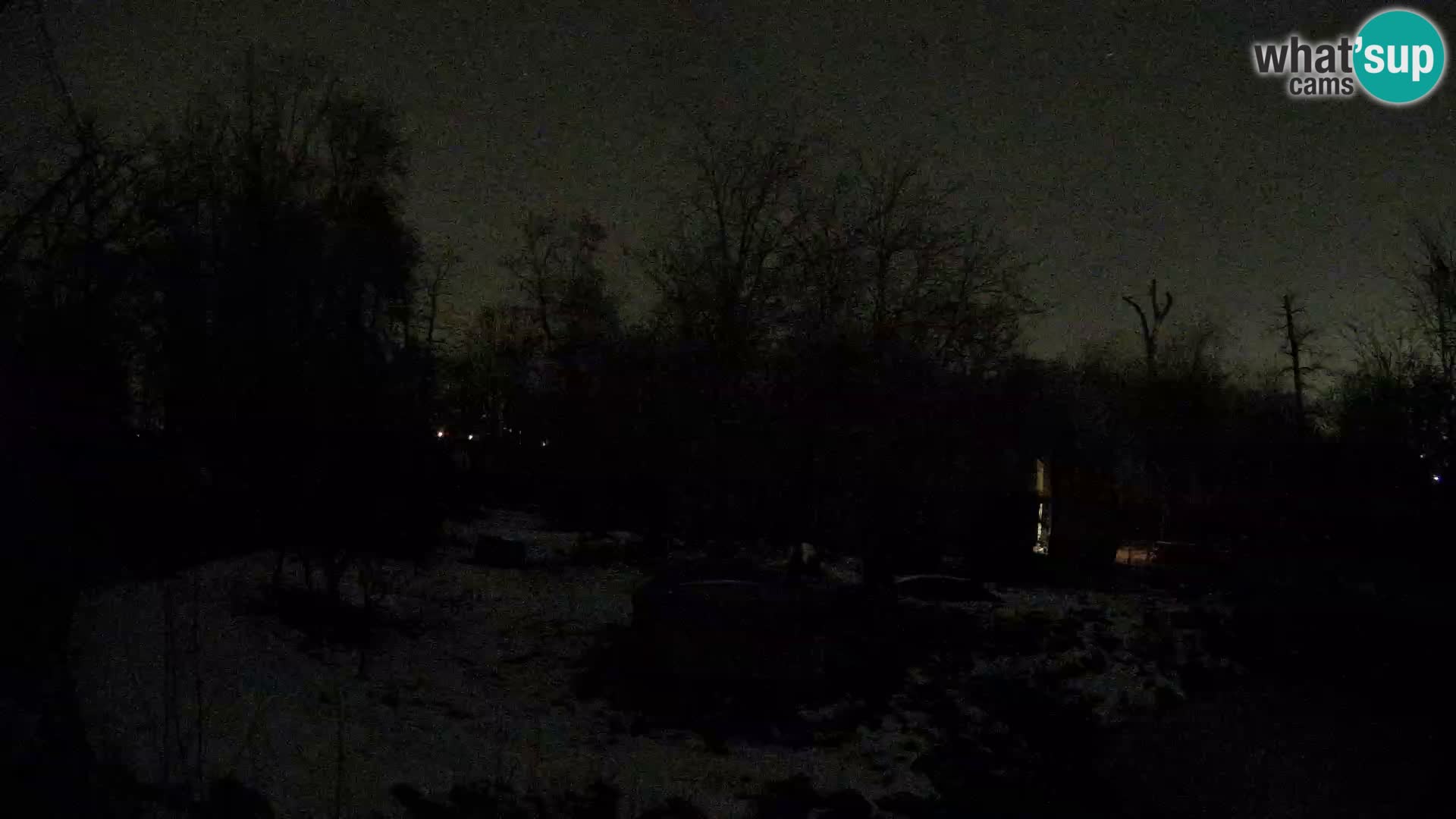 Zoo Zagreb – Löwen