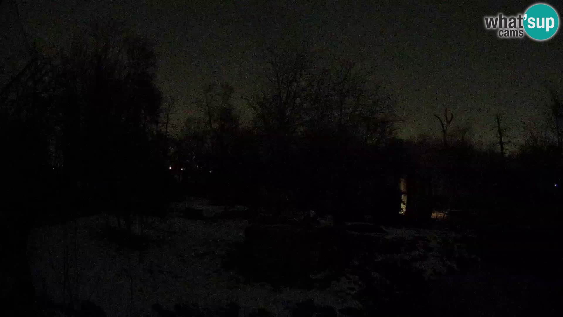 Zoo Zagreb – Löwen