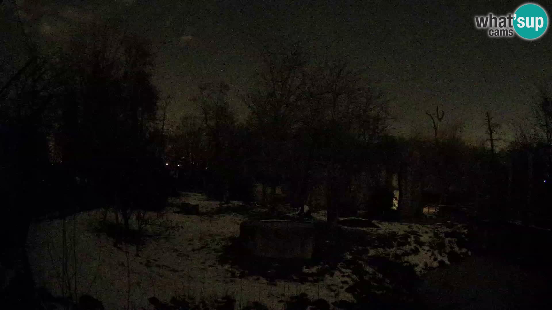 Zoo Zagreb – Lavovi