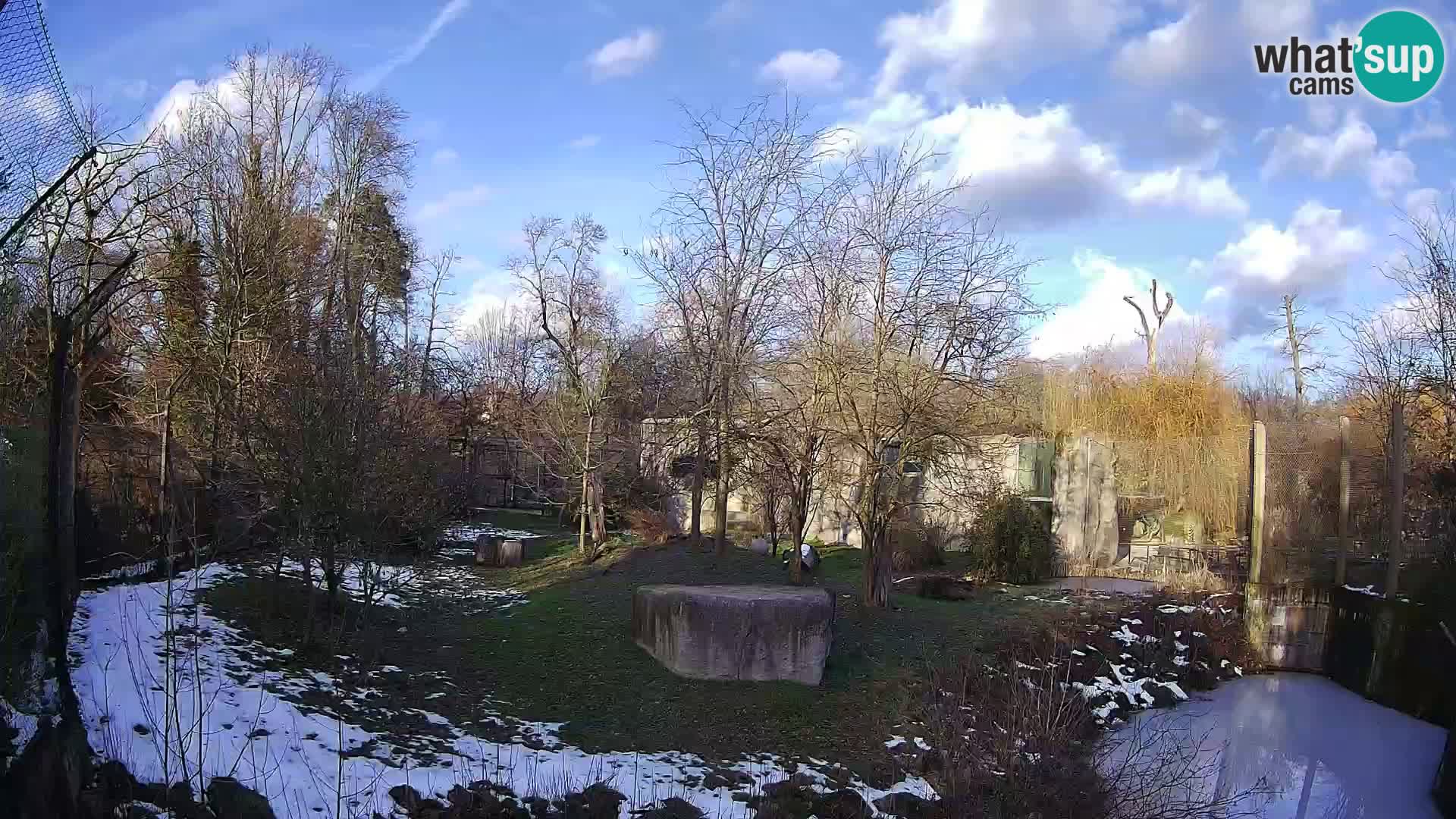 Spletna kamera Zoo Zagreb – Levi