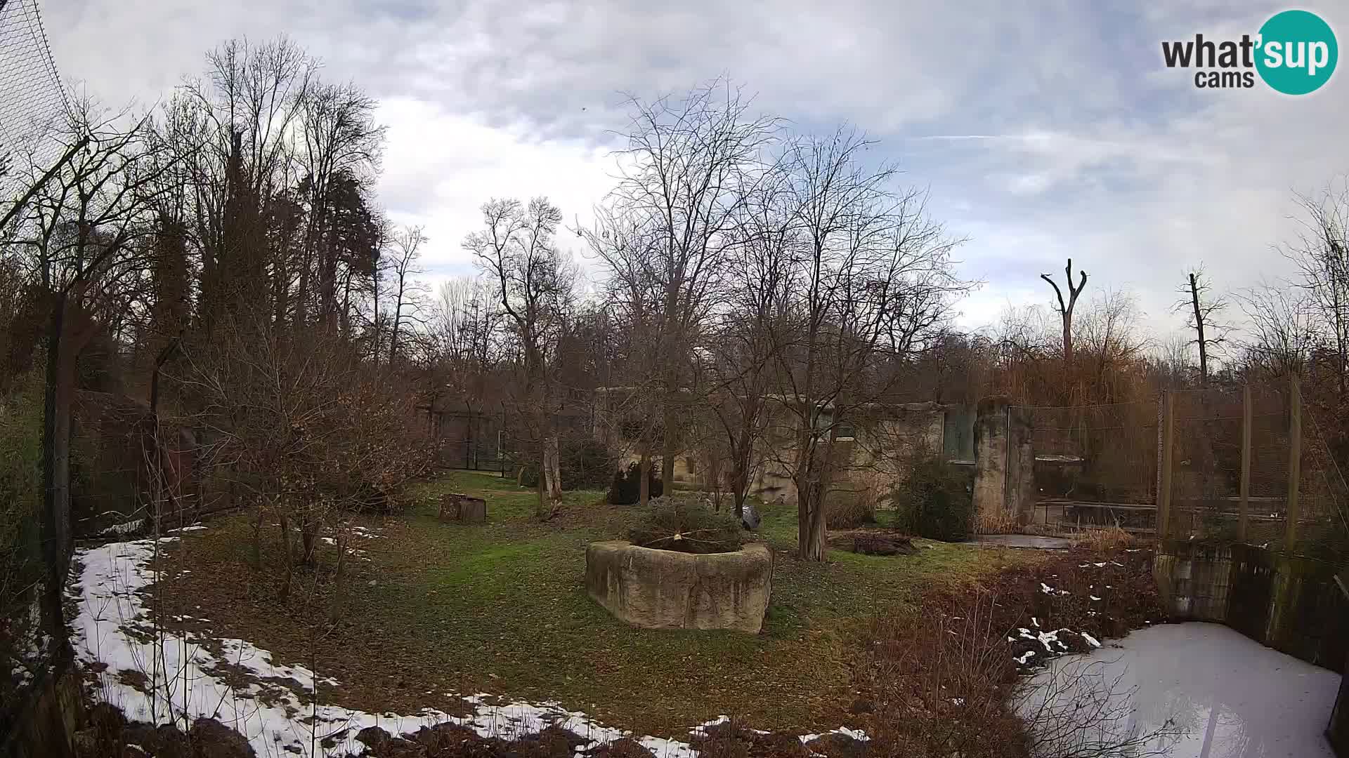 Zoo Zagreb – Löwen