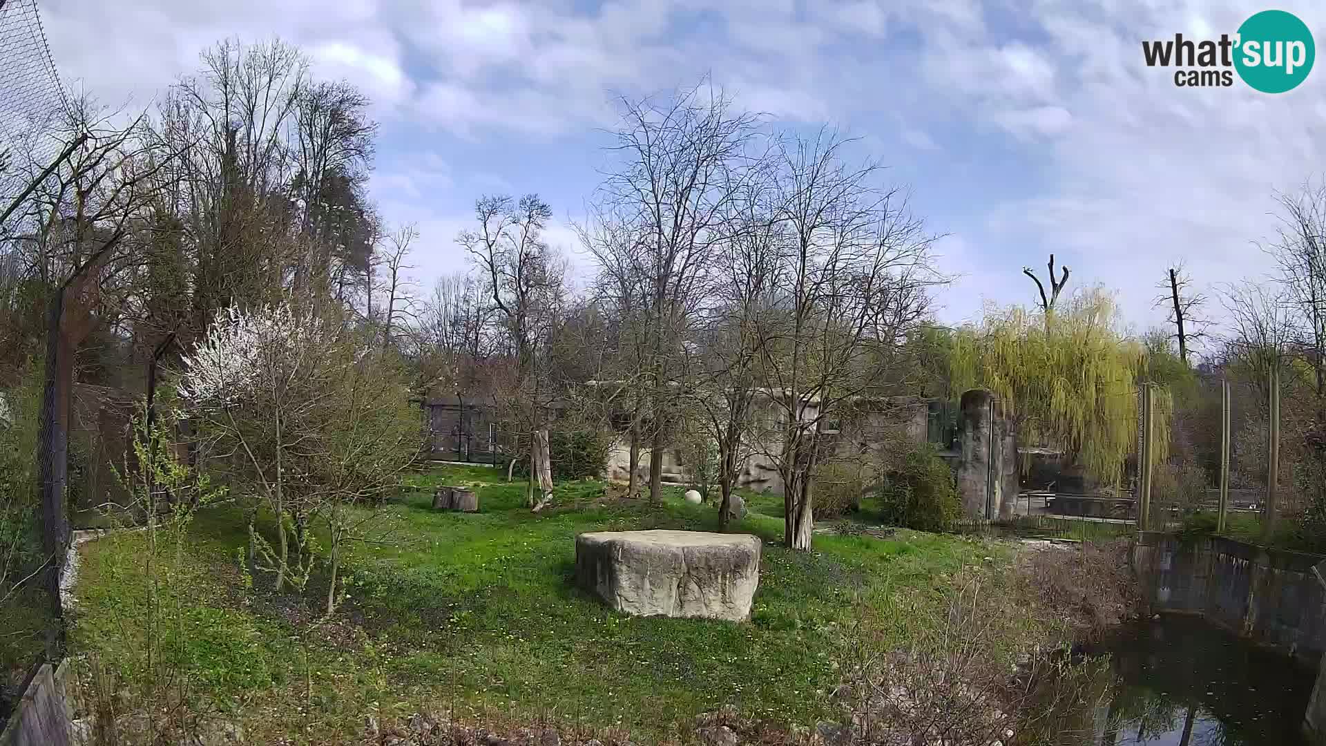 Zoo Zagreb – Löwen