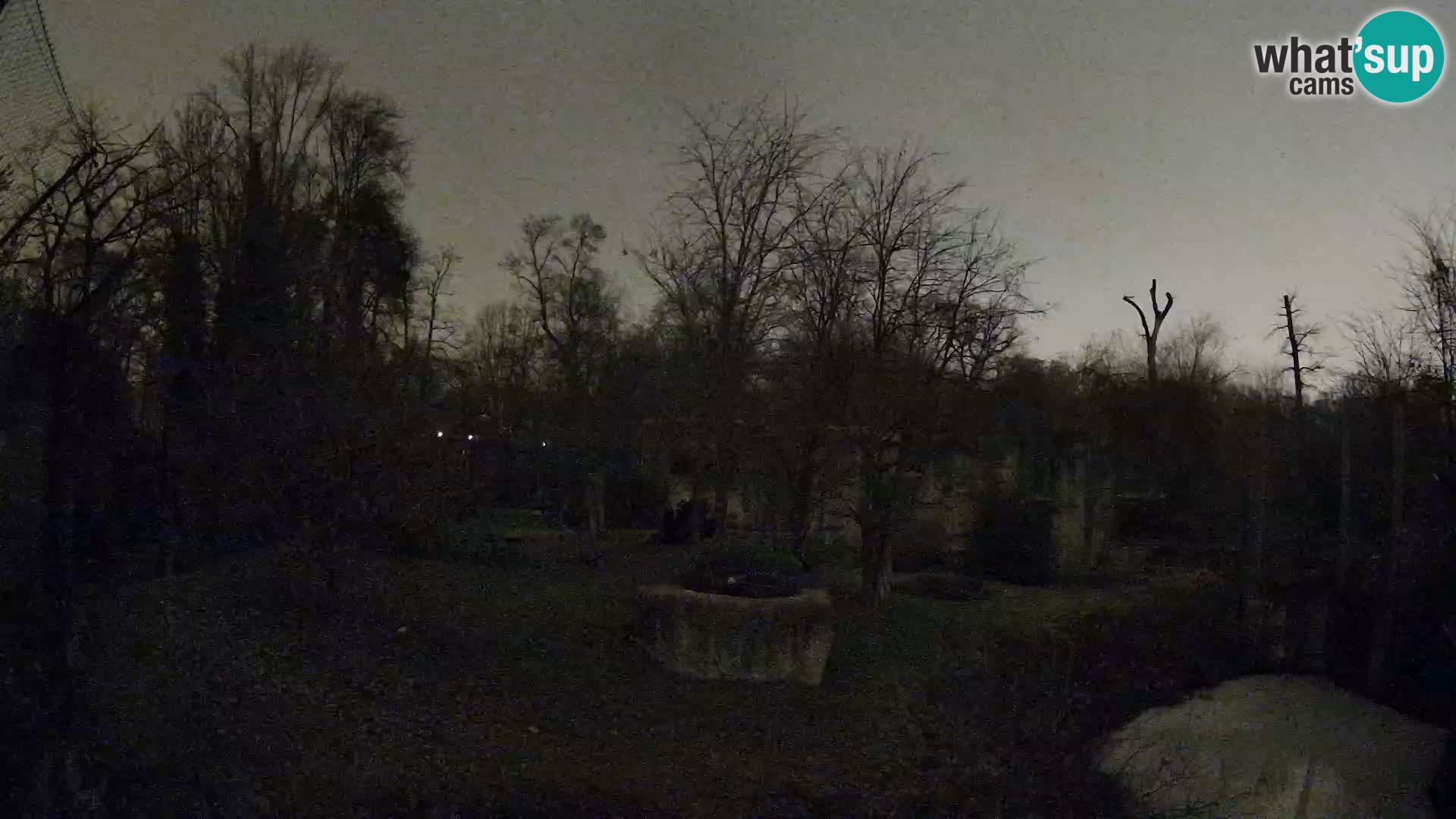 Zoo Zagreb – Lavovi