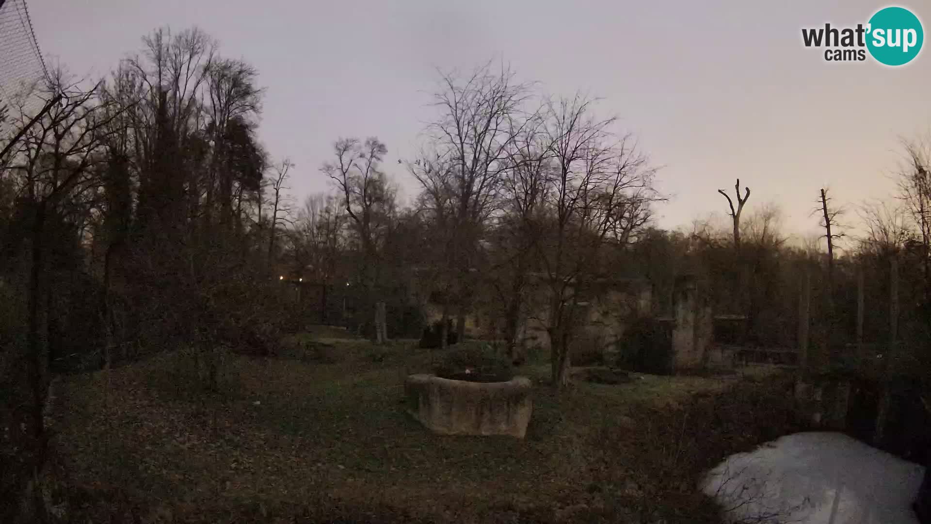 Zoo Zagreb – Lavovi