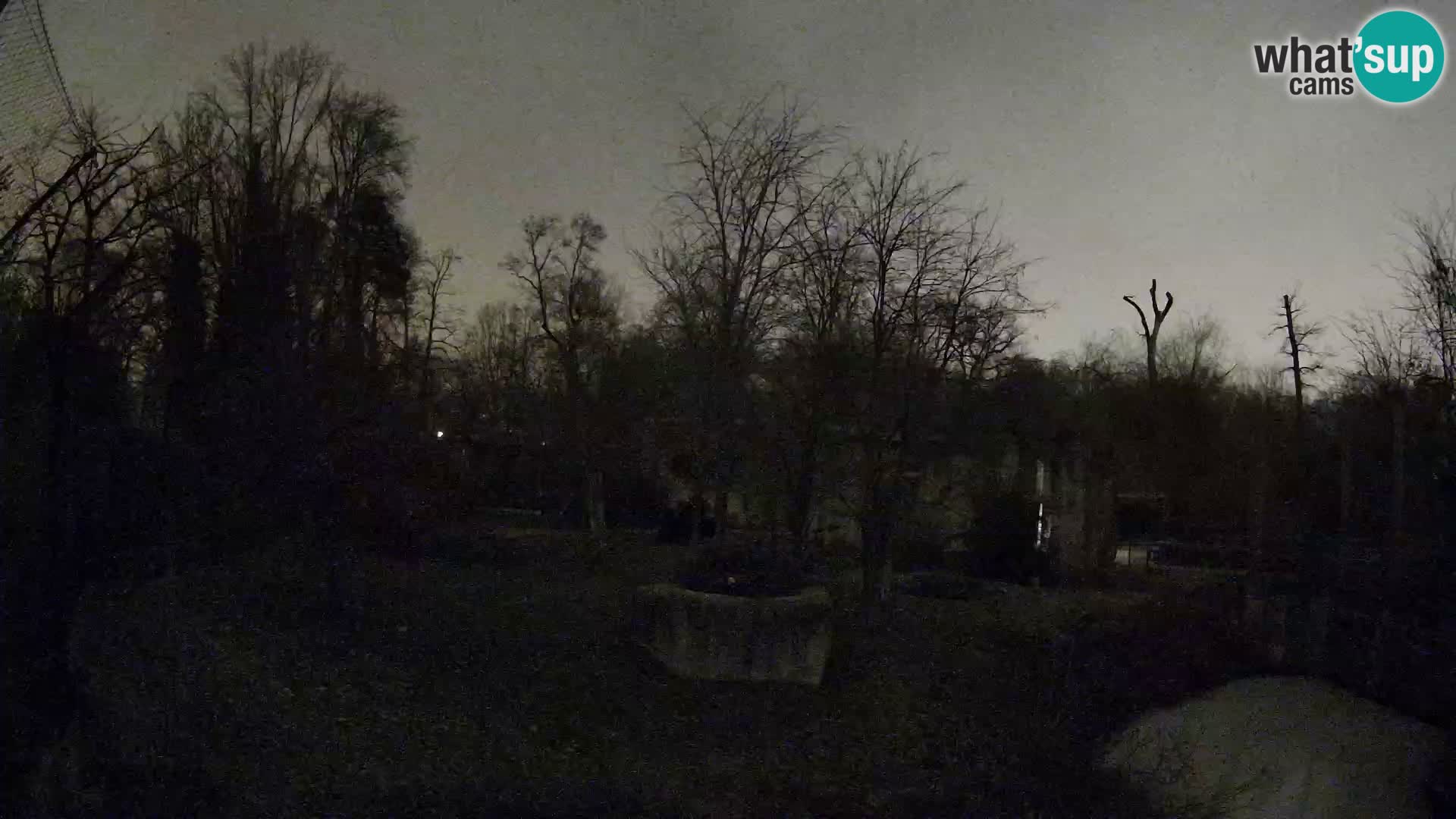 Zoo Zagreb – Leones