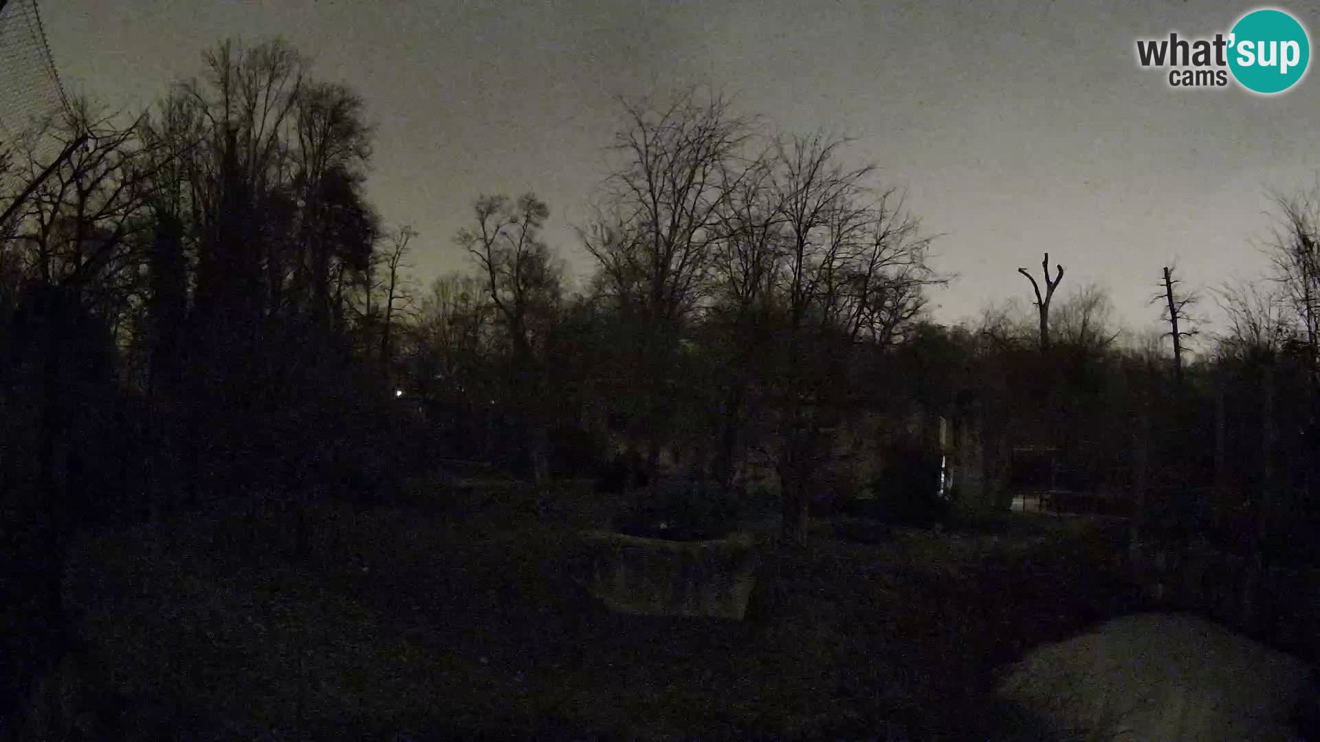 Zoo Zagreb – Leones